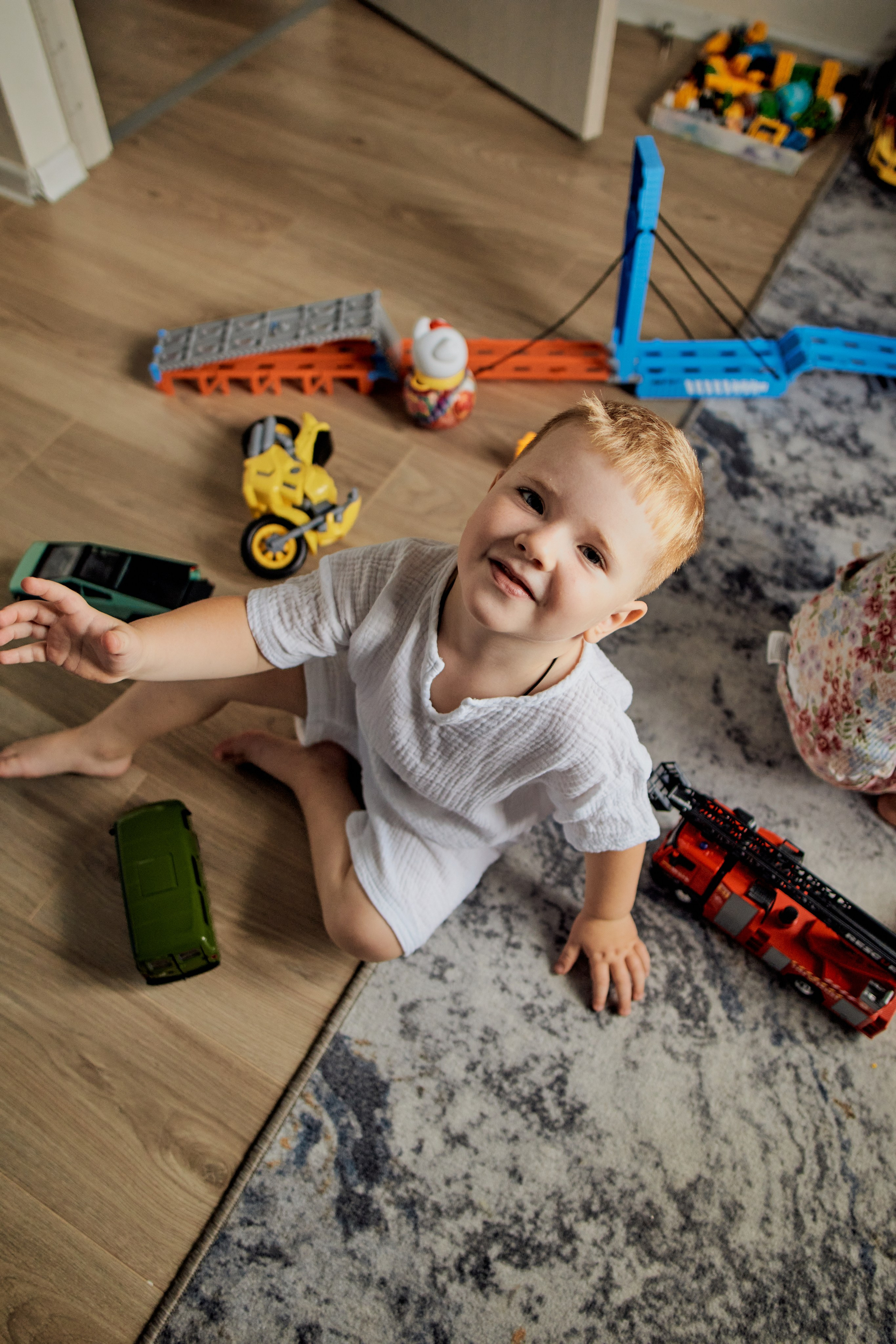 Три кота. Фотограф Москва