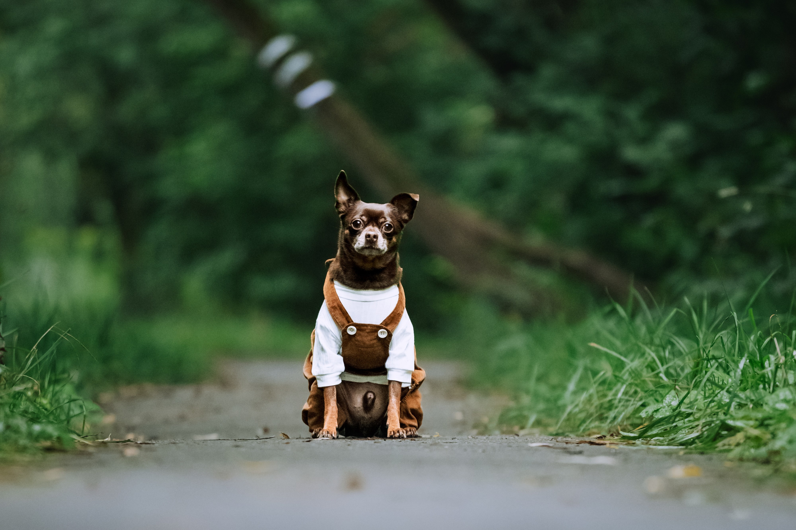 Юля и Леонид. Фотограф-анималист Татьяна Степанова