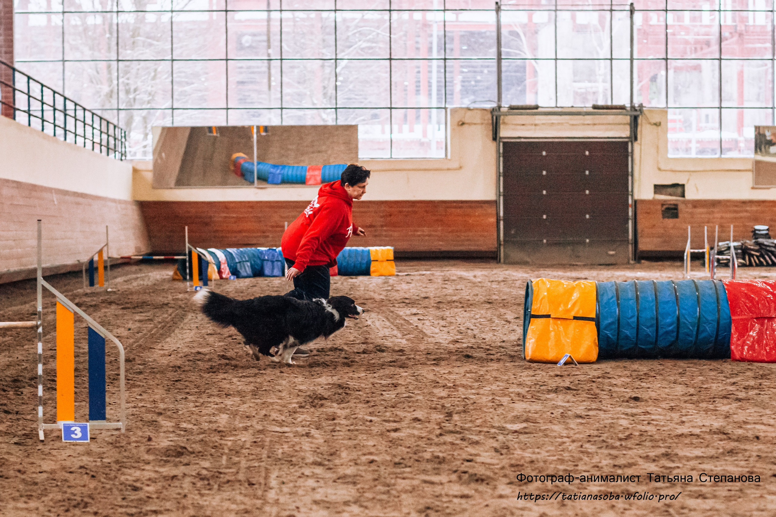 Соревнования по Аджилити 25.02.2024. Фотограф-анималист Татьяна Степанова