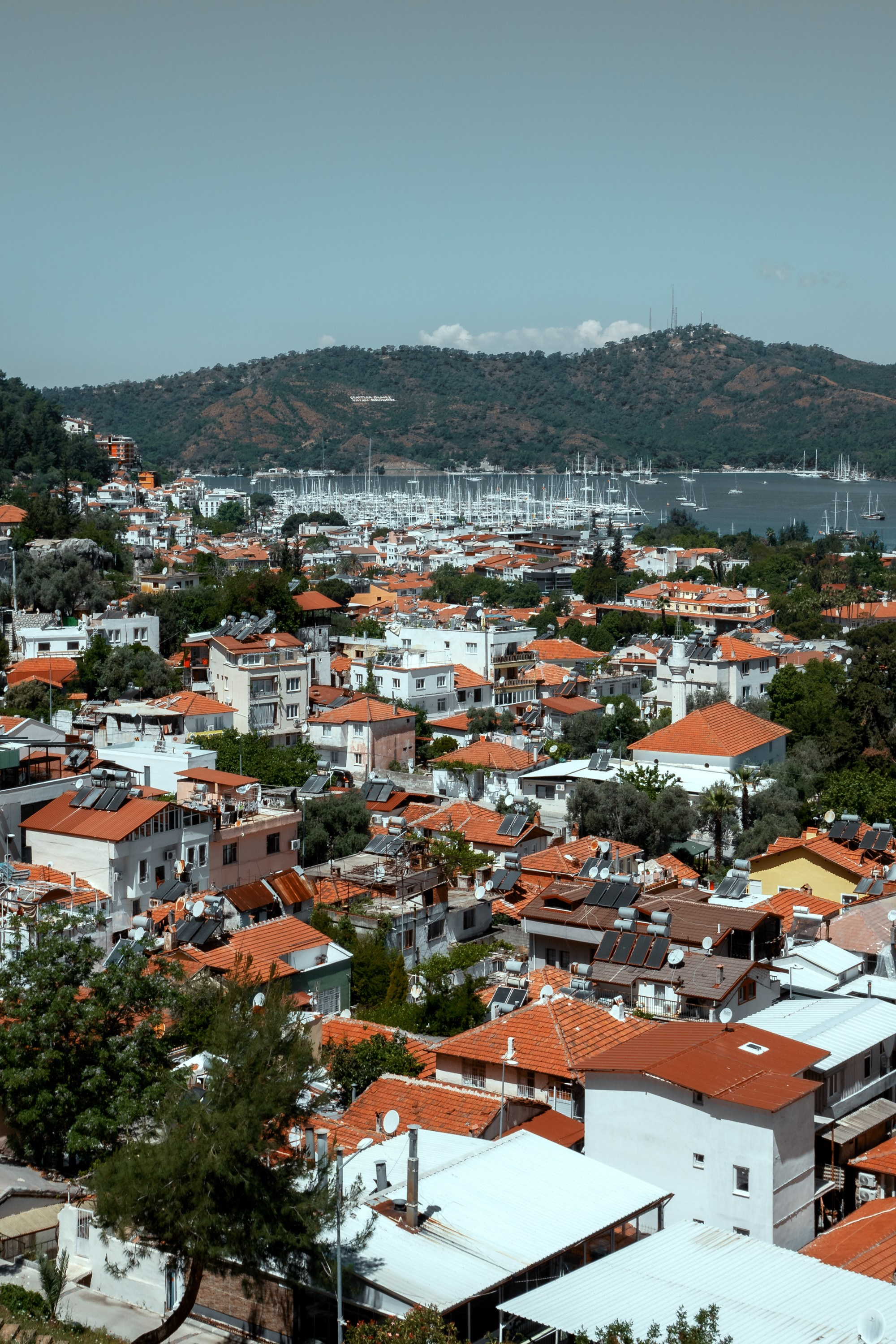 Турция, Греция, Иордания. Фотограф в Хабаровске. Фотография за 24 часа