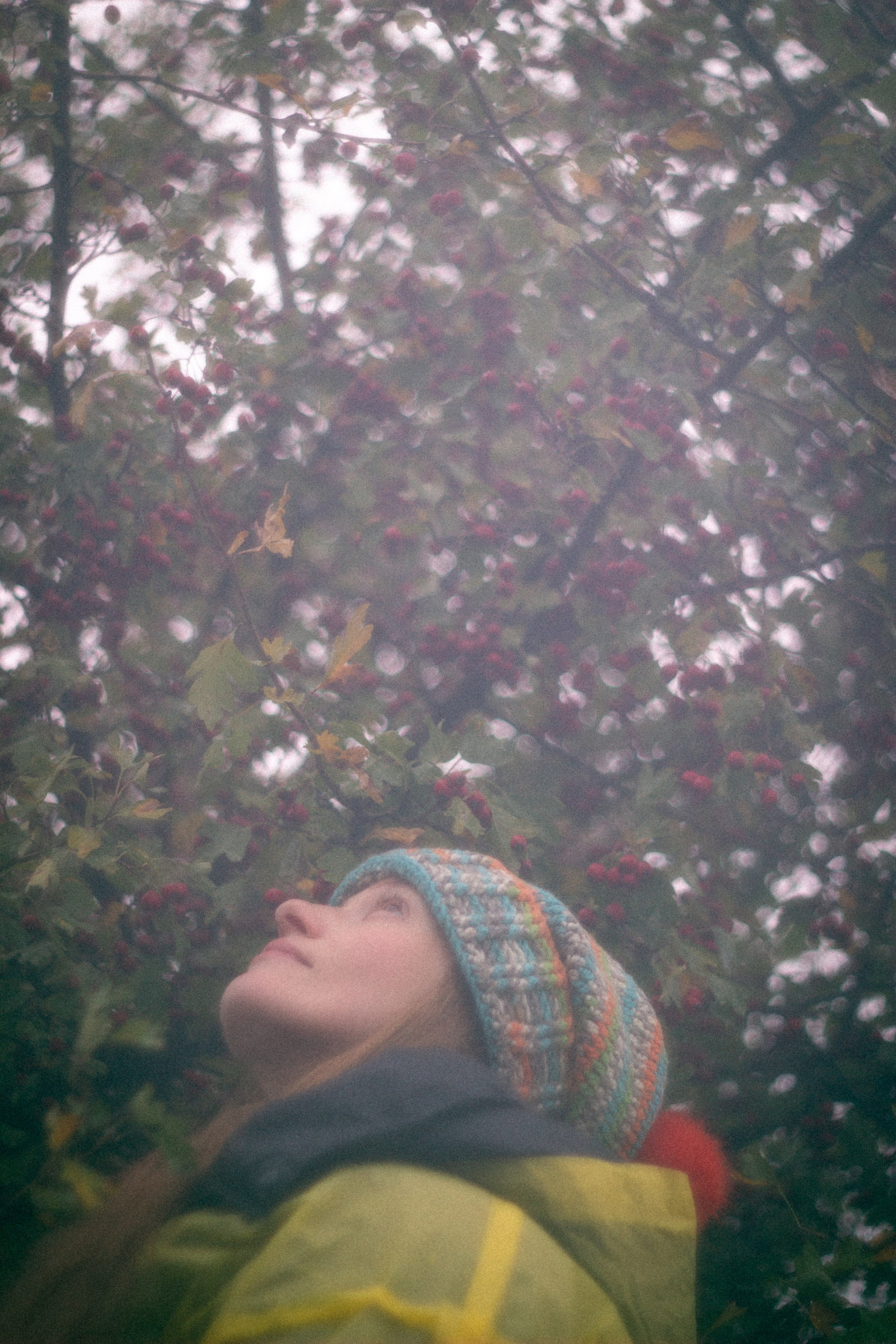 Туманная осень. • Фотограф Александра Светозар Алчевск •