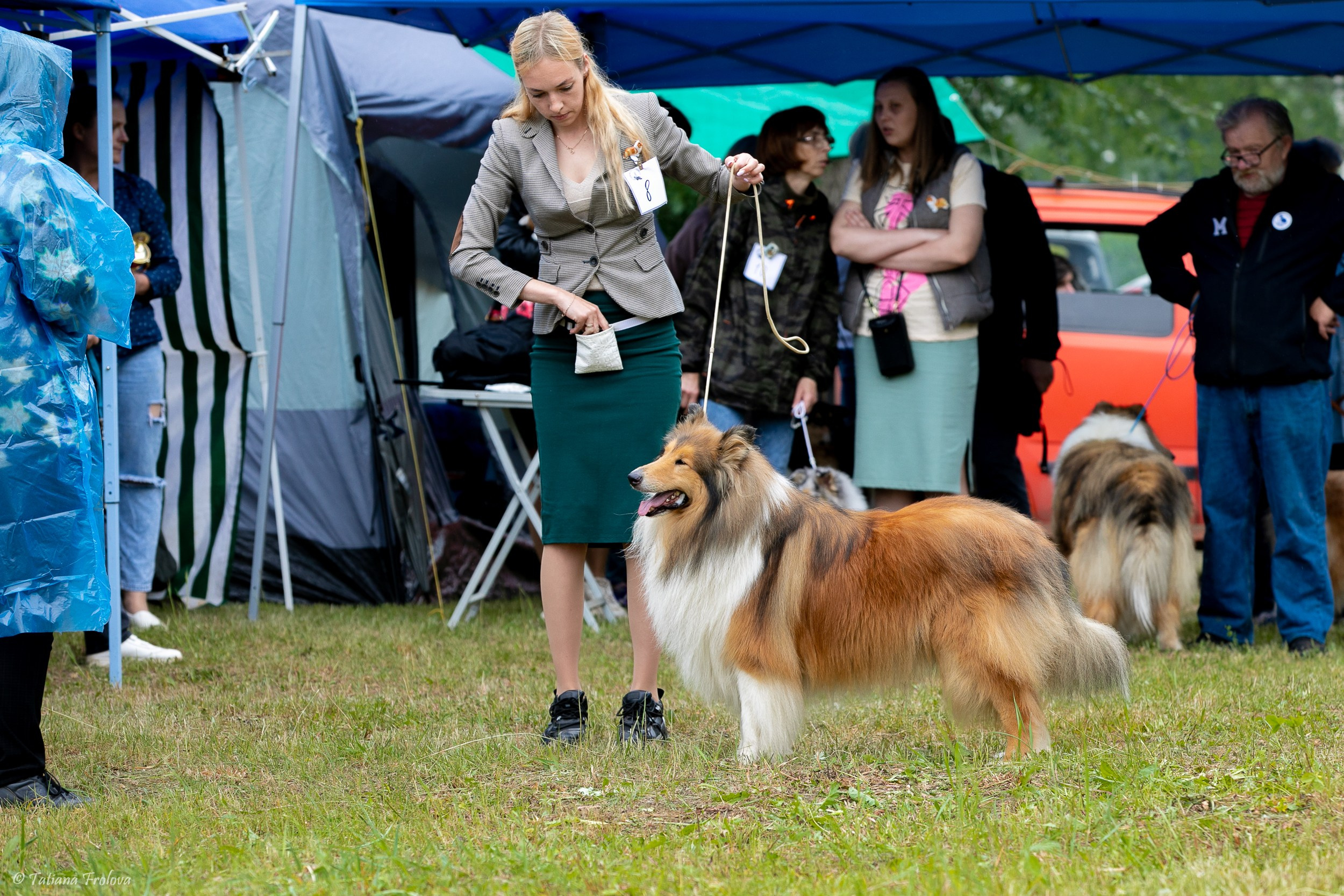Фотосопровождение выставки собак в Московской области и Москве. Фотограф-анималист в Москве и Московской области Татьяна Фролова