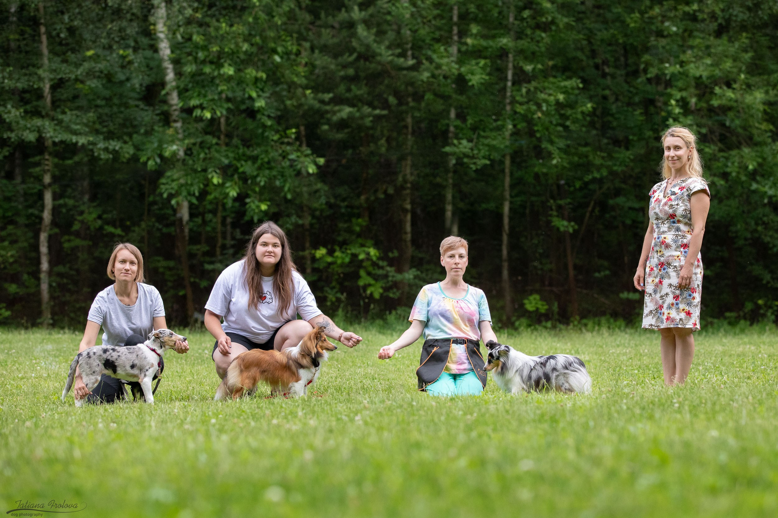 Репортаж с выводки молодняка колли/шелти в Ясенево. Фотограф-анималист в Москве и Московской области Татьяна Фролова