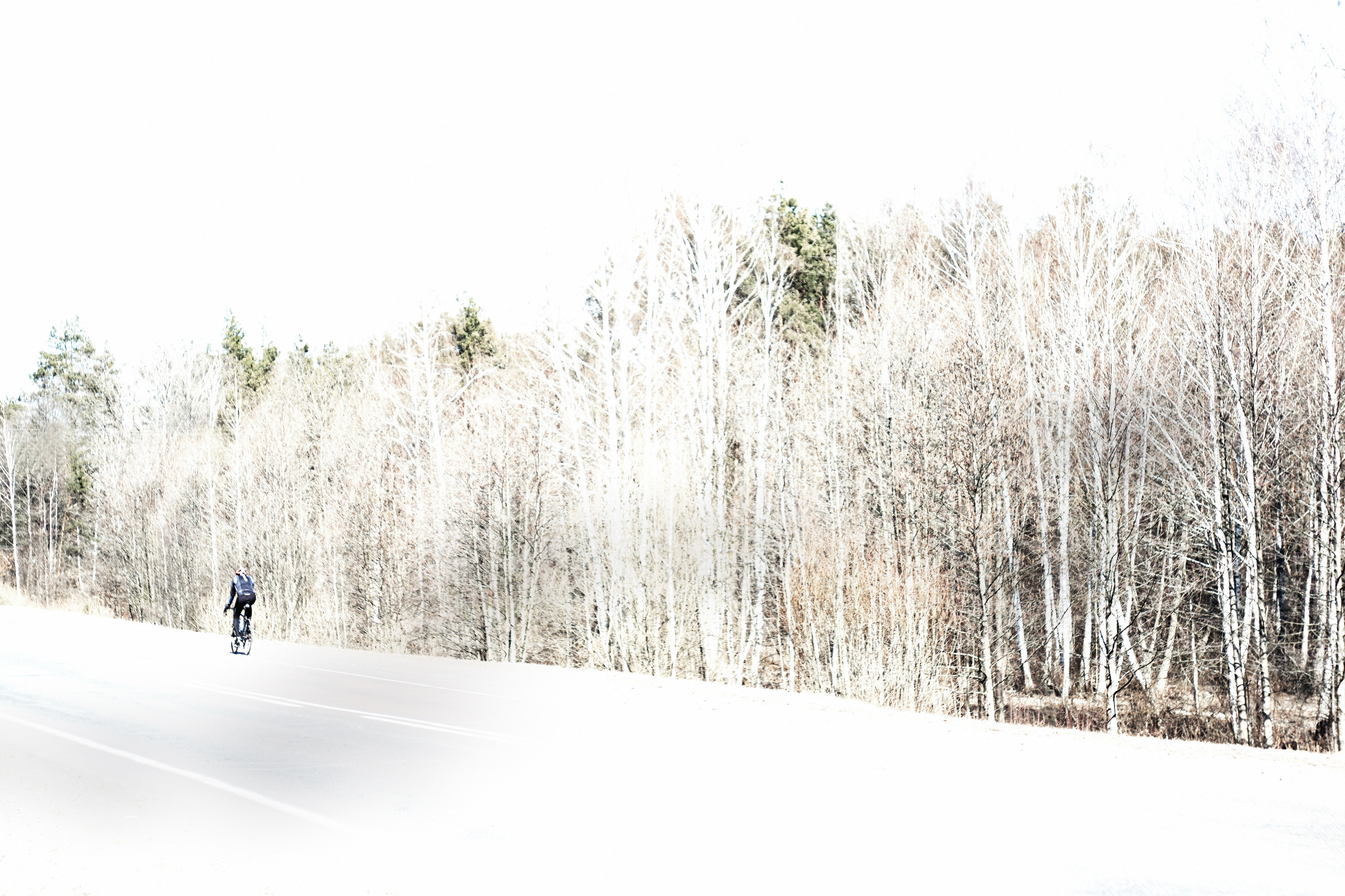 ЧБ  пейзажи (BnW landscape). Фотограф (photographer) Lischinski Vitaliy