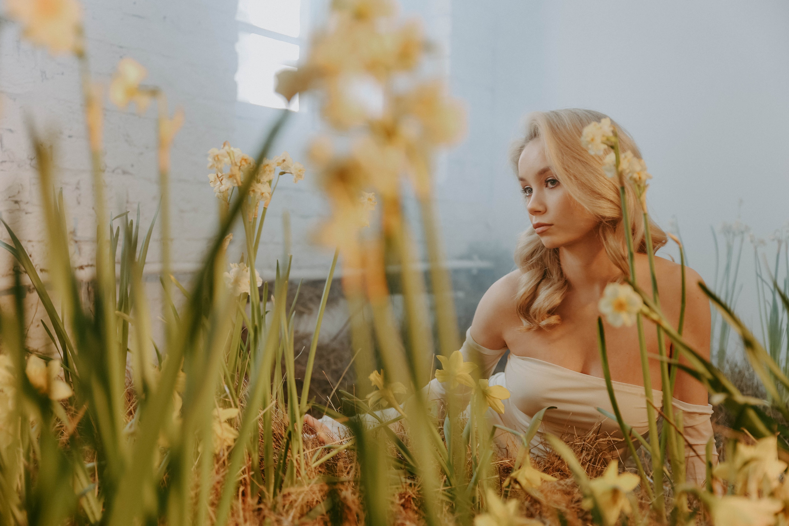 Весна. Нарциссы. Фотограф в Москве и любой точке земного шара Алёна Вялова (Чулкова)