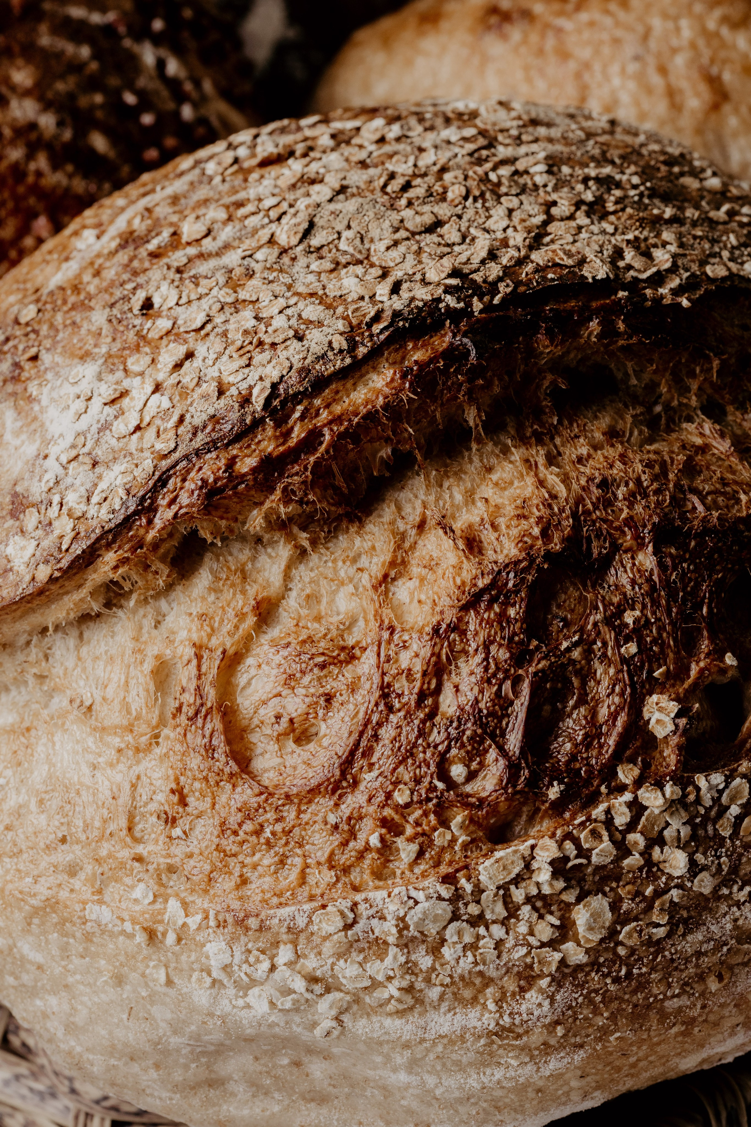 Elpan. Свадебный фотограф в Нальчике Алим Джаппуев