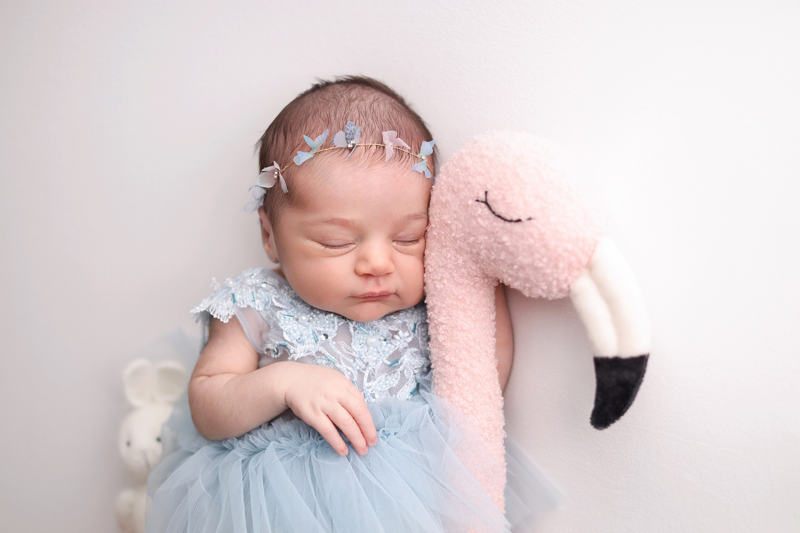 Фотосъемка новорожденной Рузанны. Ньюборн фотограф Столярова Светлана. Фотограф новорожденных Москва. Ньюборн фотограф Москва