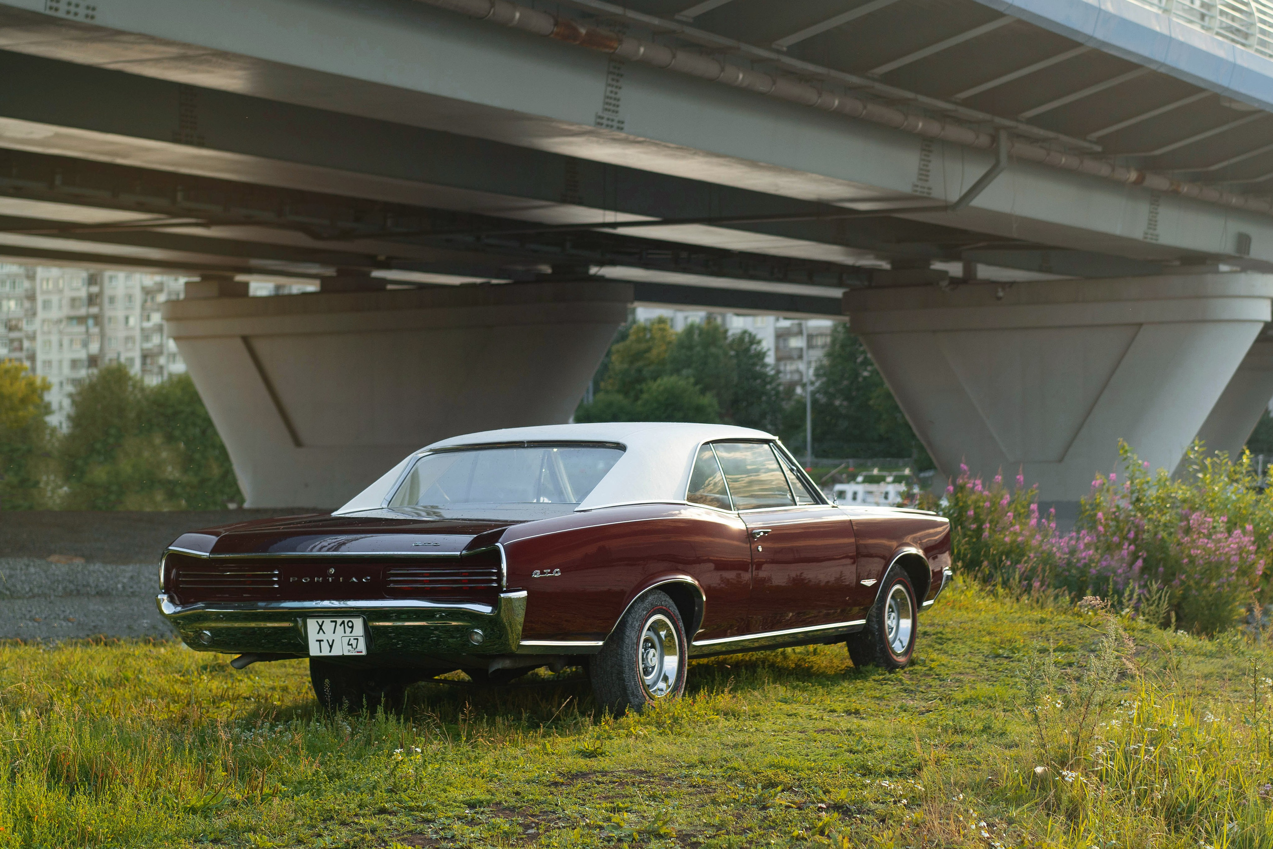 Pontiac GTO. Автомобильный фотограф Антон Цырулев