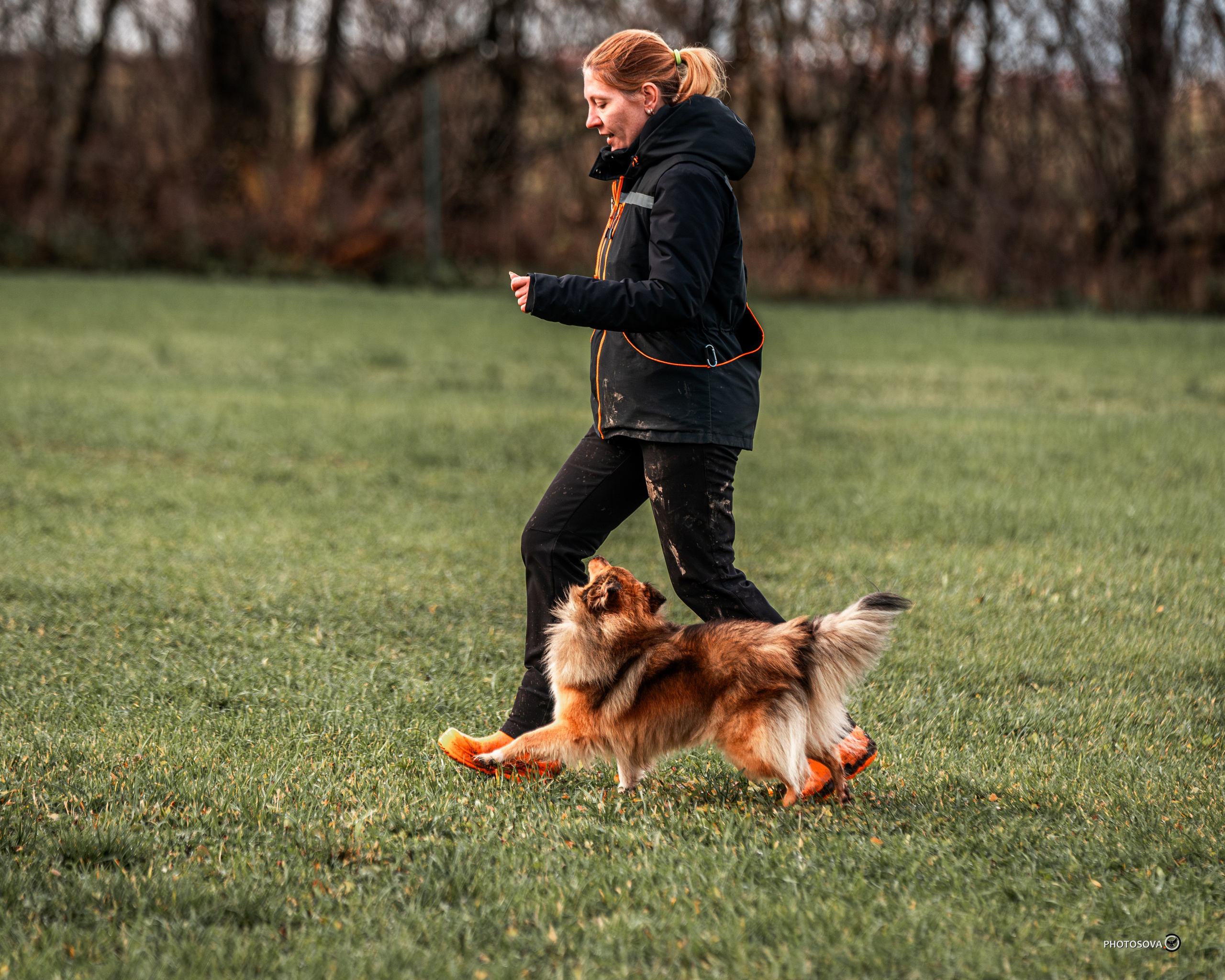 МЫ — КОМАНДА (соревнования) OKD, BH, IBGH, IGP. Фотограф-анималист, семейный фотограф в Москве и Подмосковье. Фотосъёмка кинологических дисциплин