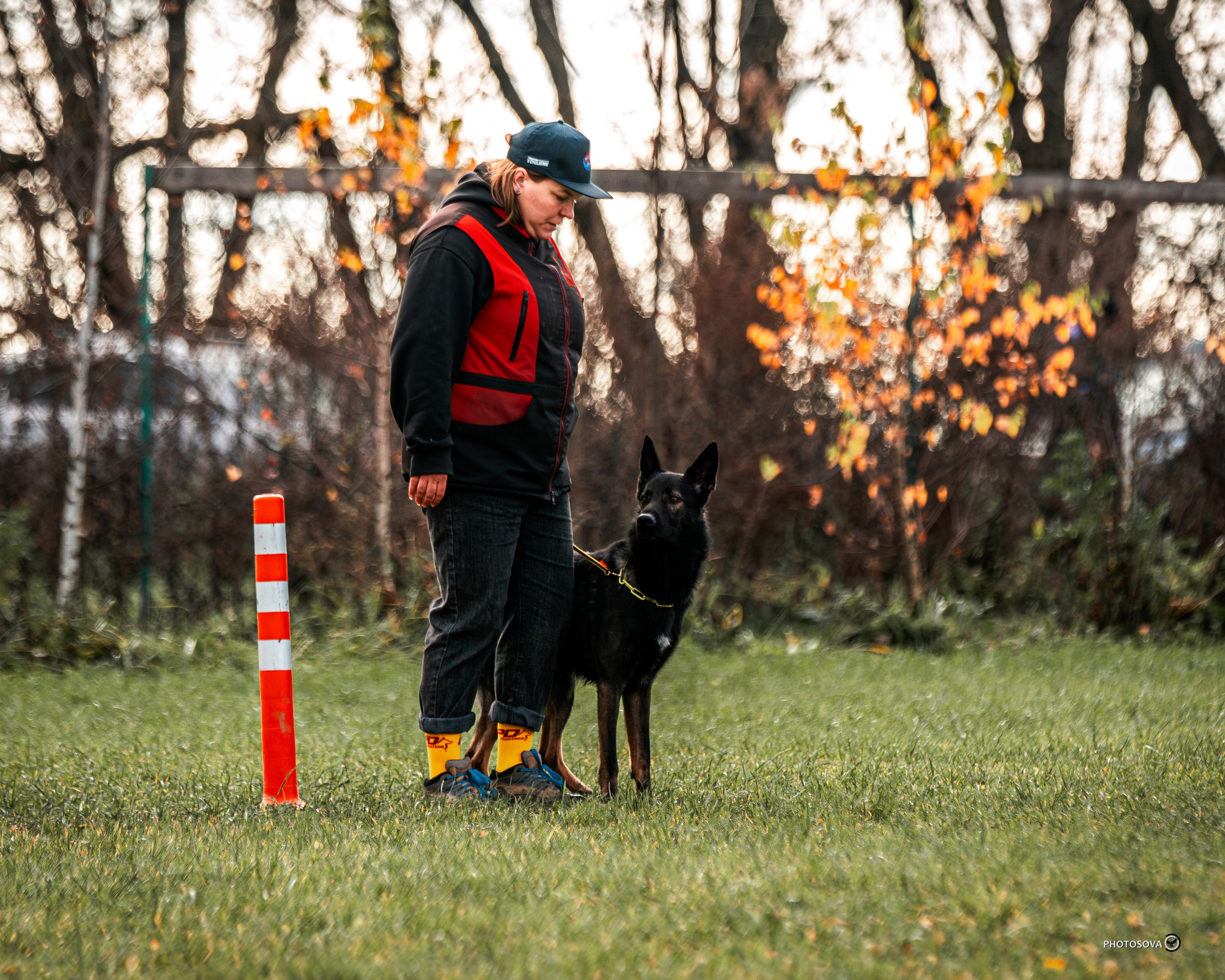 МЫ — КОМАНДА (соревнования) OKD, BH, IBGH, IGP. Фотограф-анималист, семейный фотограф в Москве и Подмосковье. Фотосъёмка кинологических дисциплин