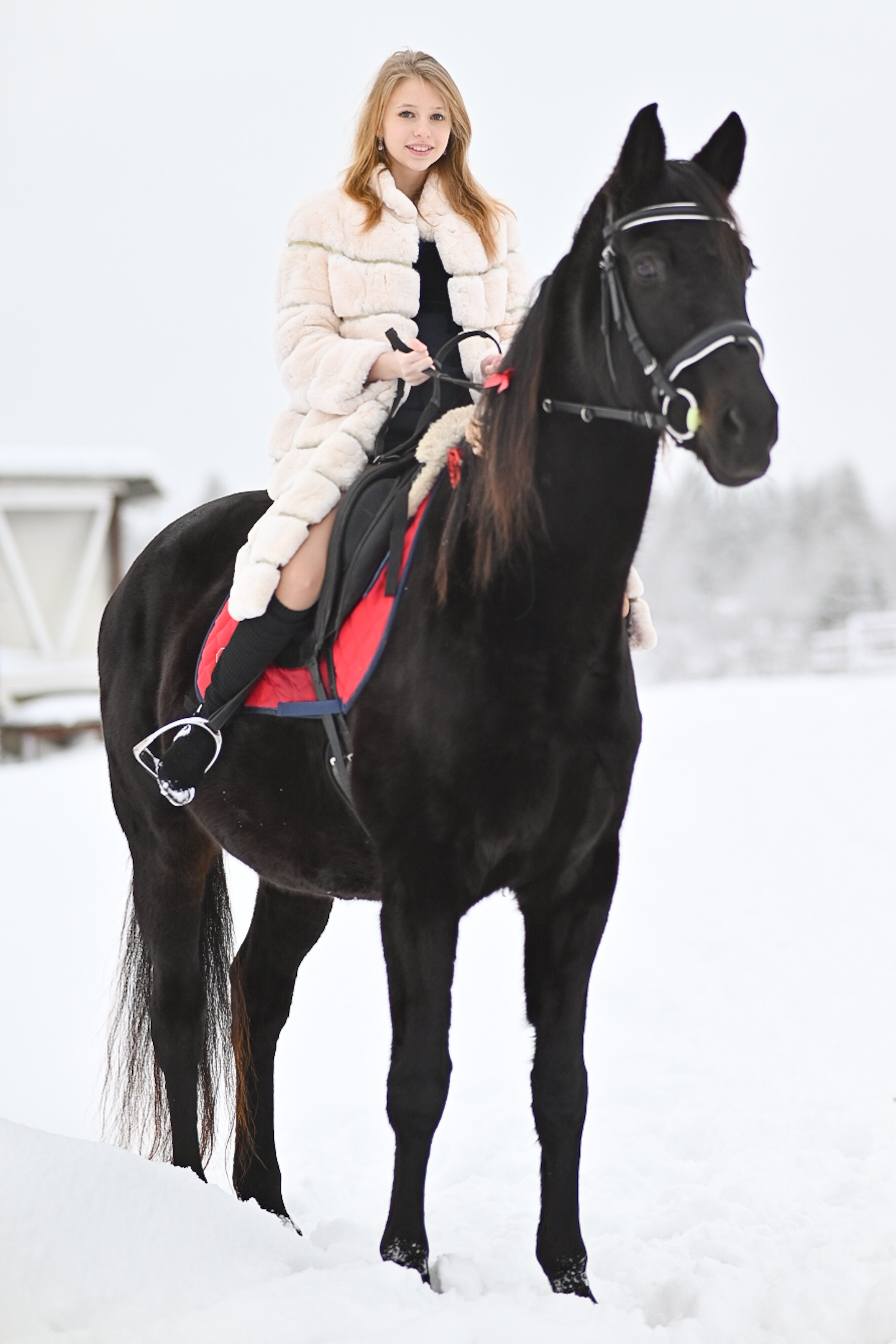 King. LifeStyle фотограф Анна Воробьёва Санкт-Петербург