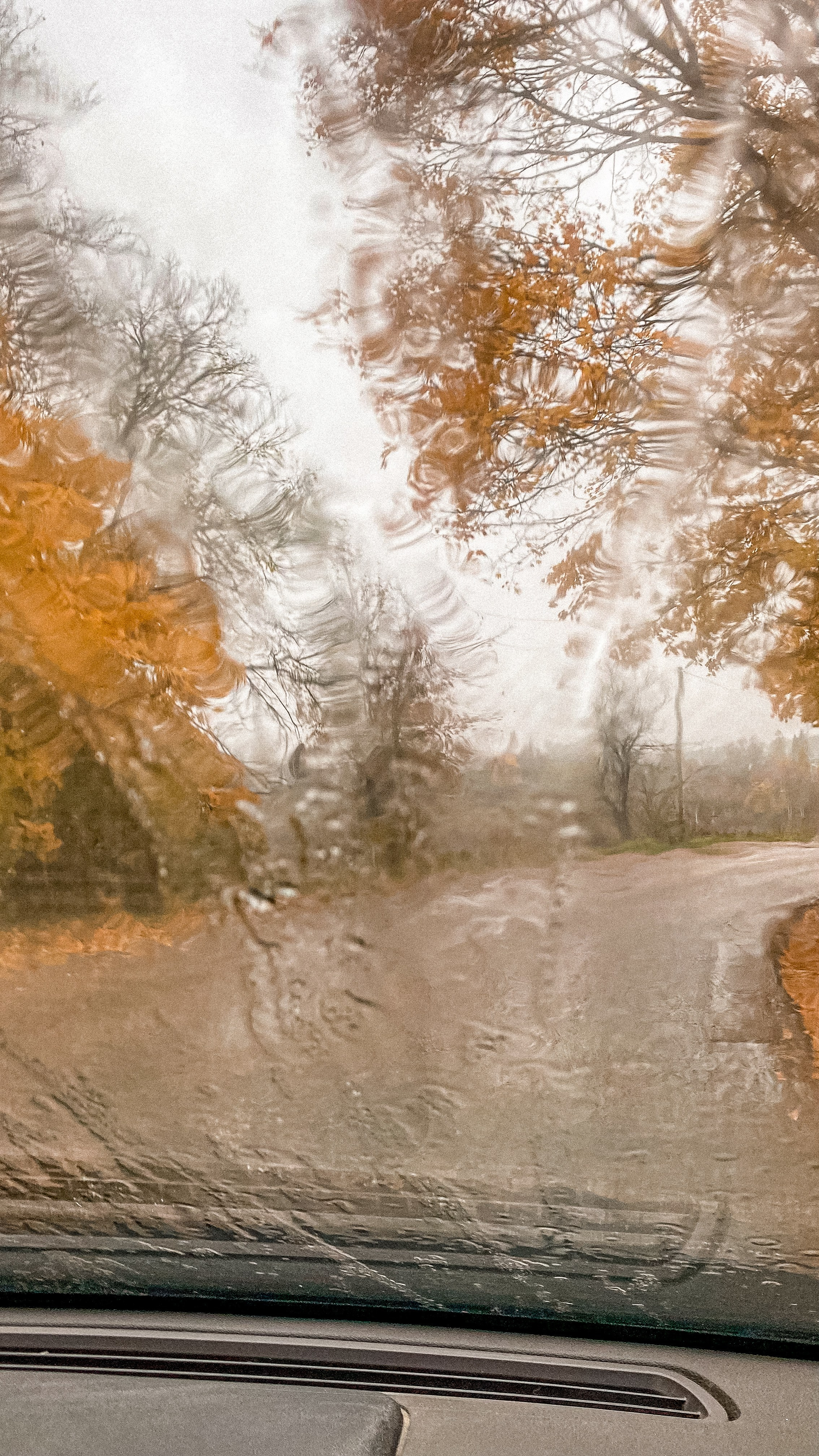 Природа. Фотограф Ольга Мурзина