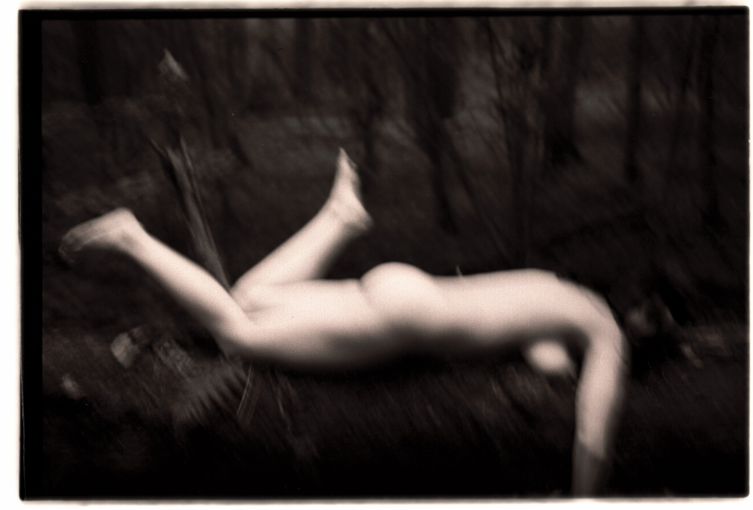 Лесная серия. Kirill Gribov