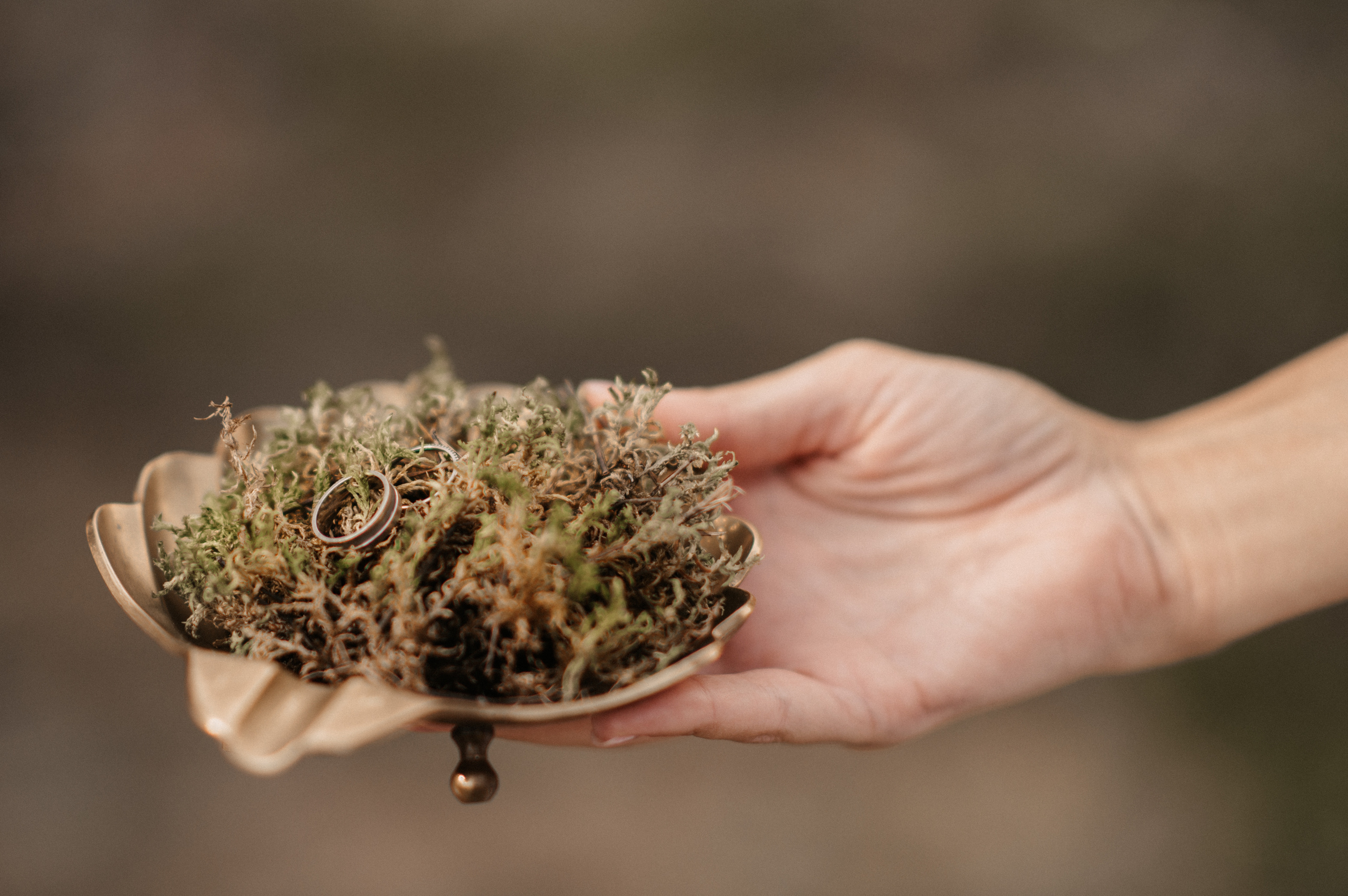 #Руслан_Галина_Красноярск. Фотограф Юлия Павлова Красноярск