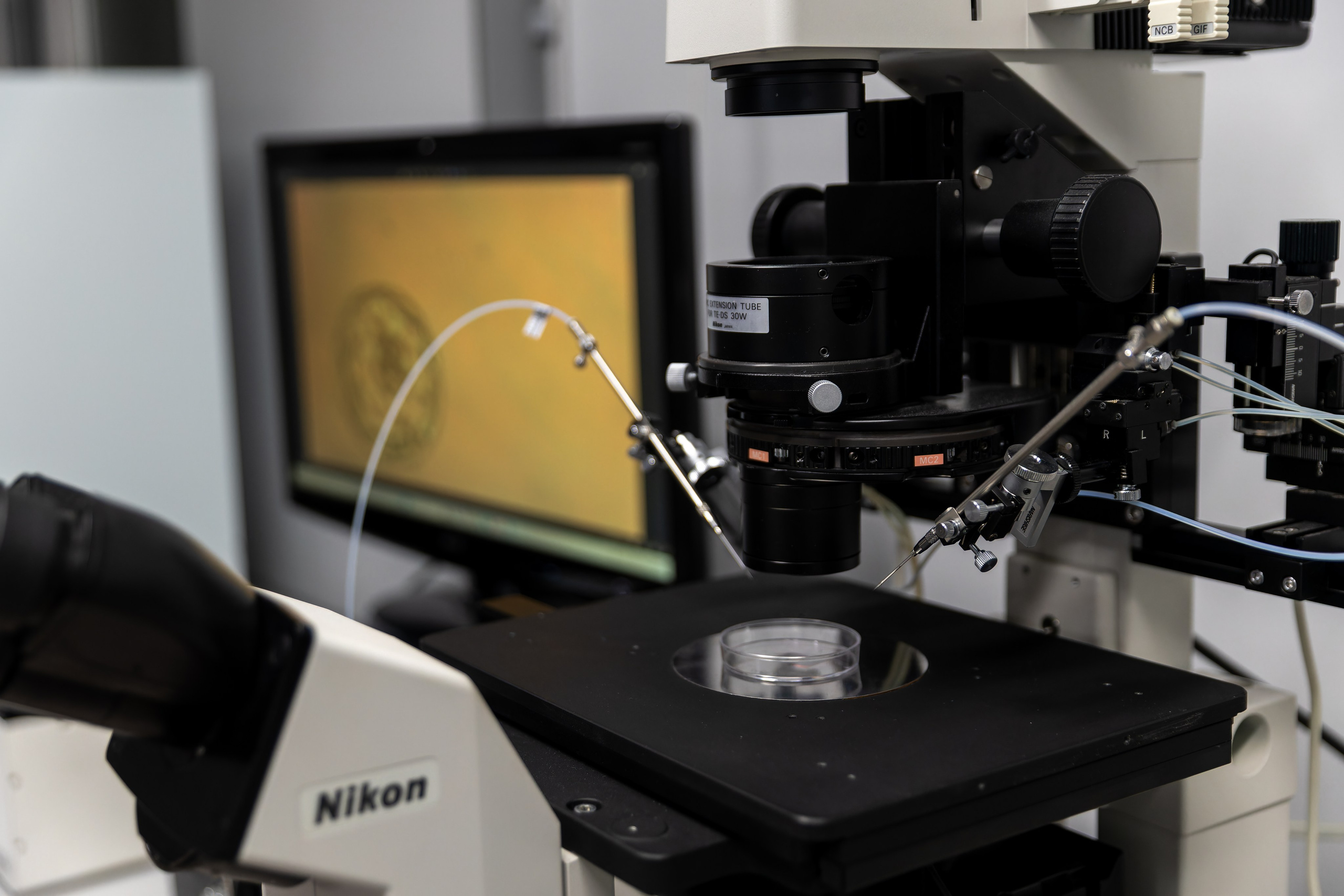 Клиника Эко. Фотограф в Самаре Максим Тырин