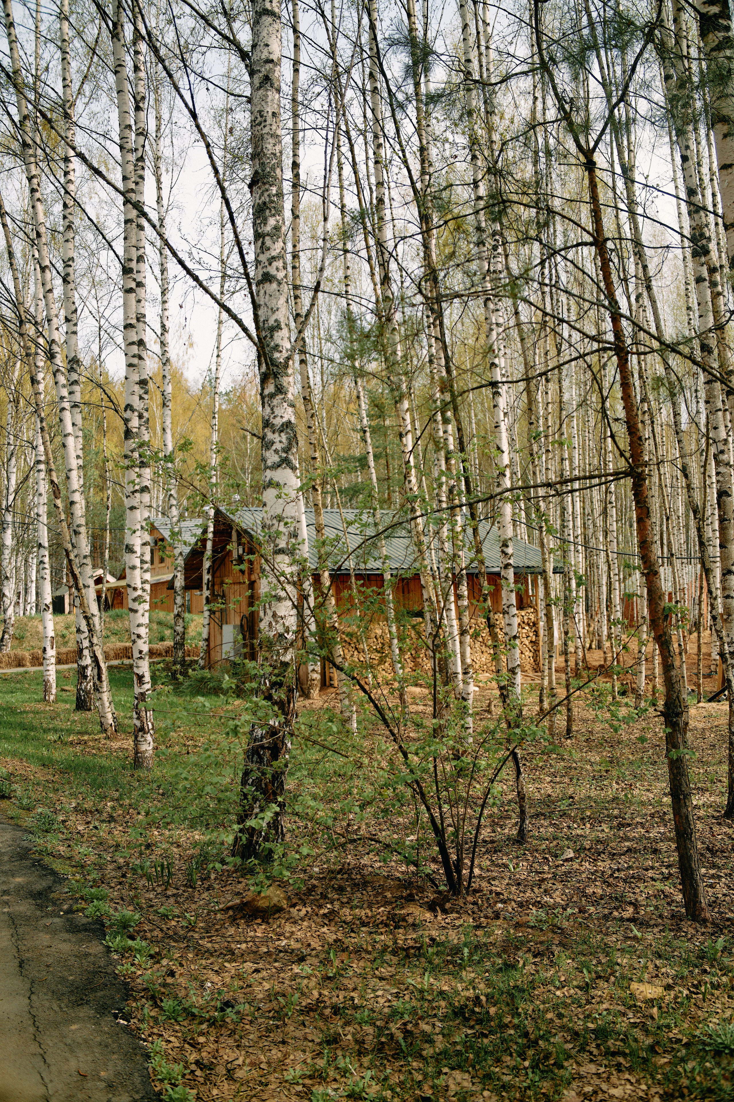 Бутик-отель Поле летом. Профессиональный Фотограф во Владимире, в Москве и в Суздале — Полина Романычева