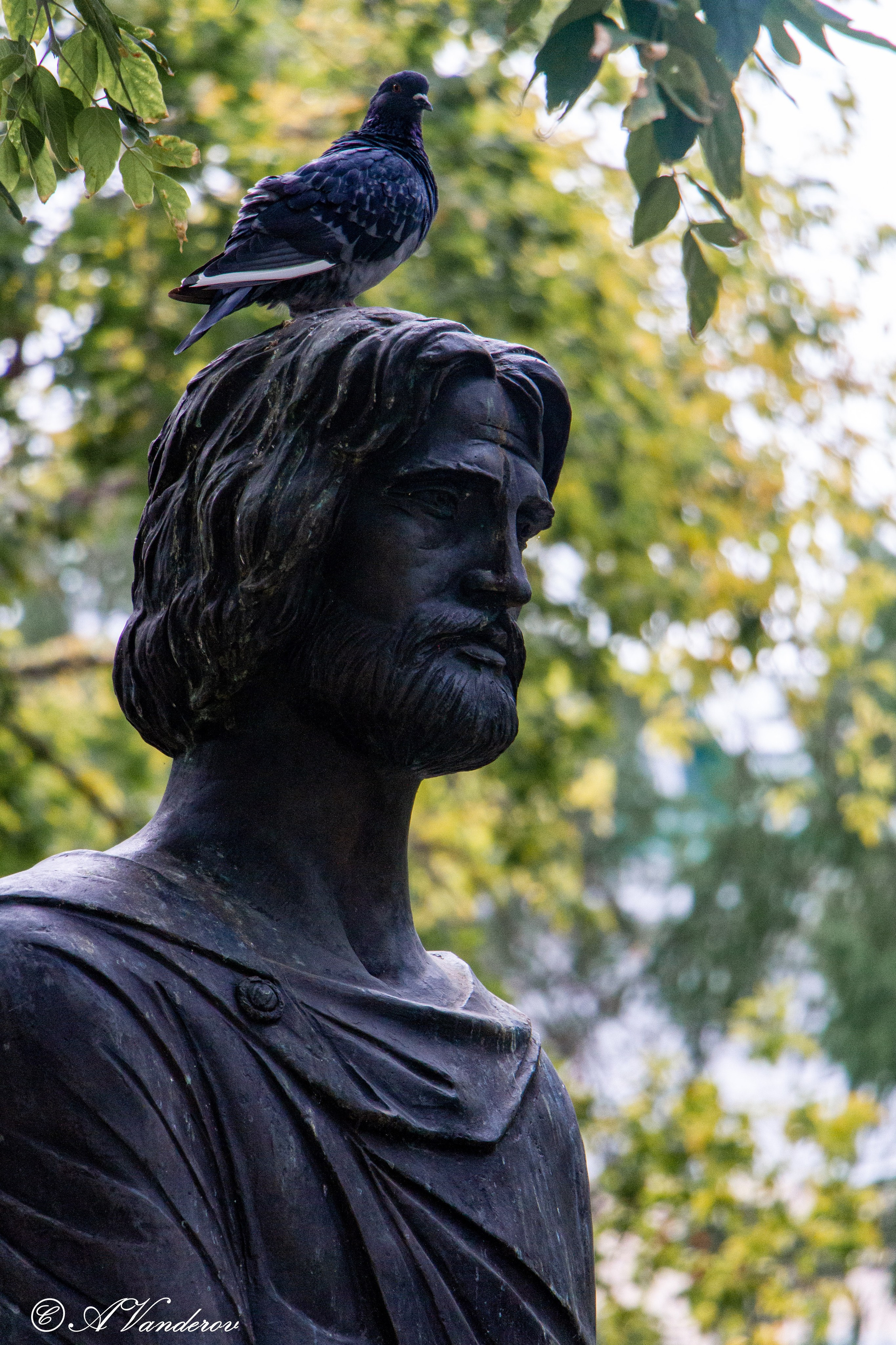 Омск 2023. Фотограф Омск | Александр Вандеров