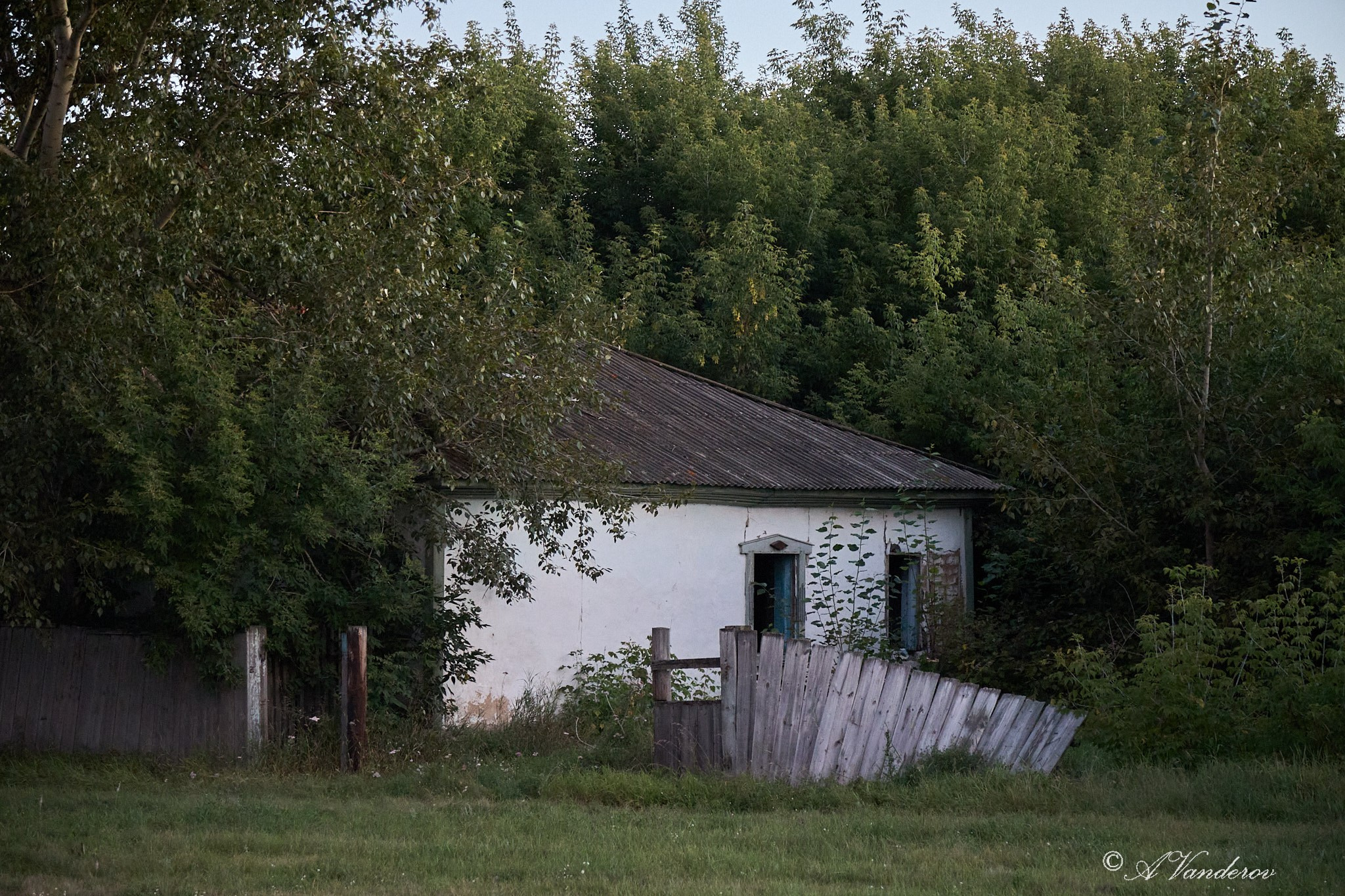 Село Савкино Баганского района Новосибирской области. Фотограф Омск | Александр Вандеров