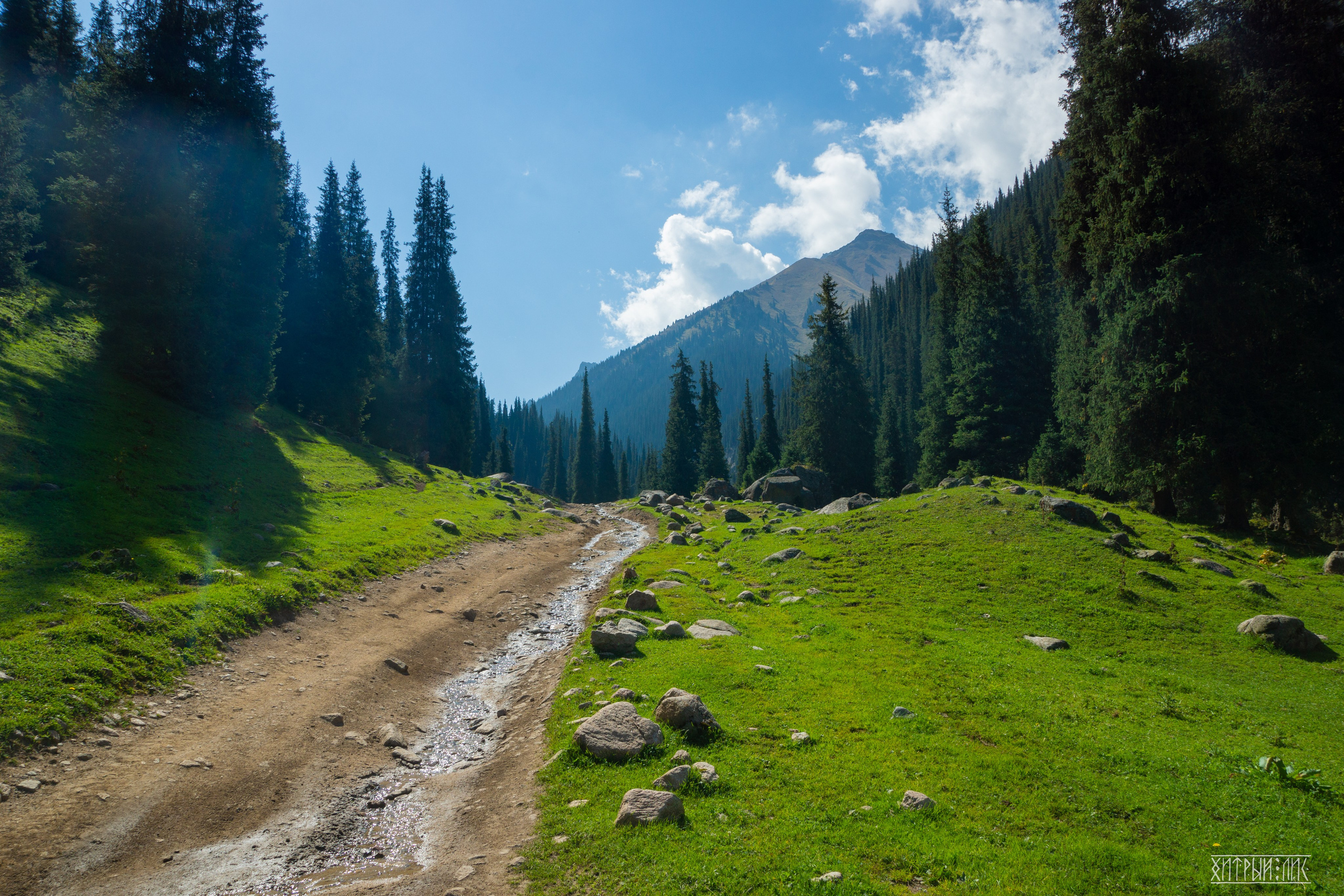 Киргизия. Фотограф-путешественник Самойлов Максим «Sly Fox»