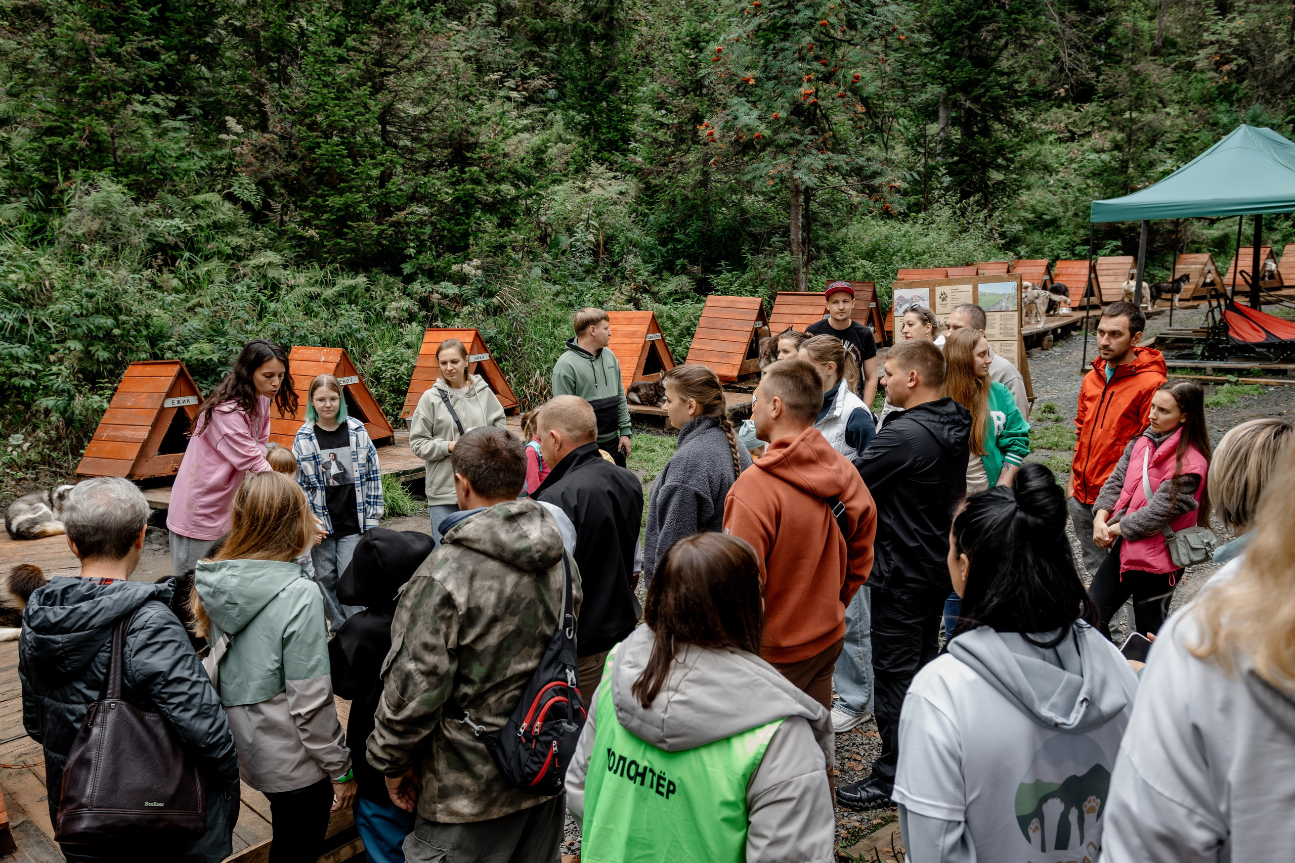 Дог-треккинг