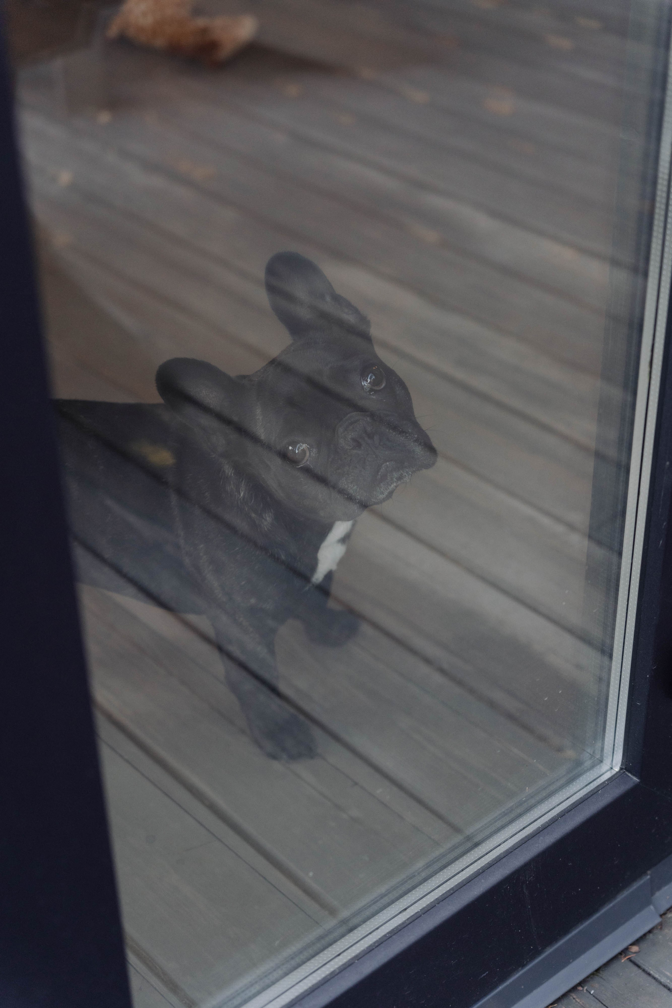 День рождения Марии. ФОТОГРАФ КСЕНИЯ СОСНОВСКАЯ