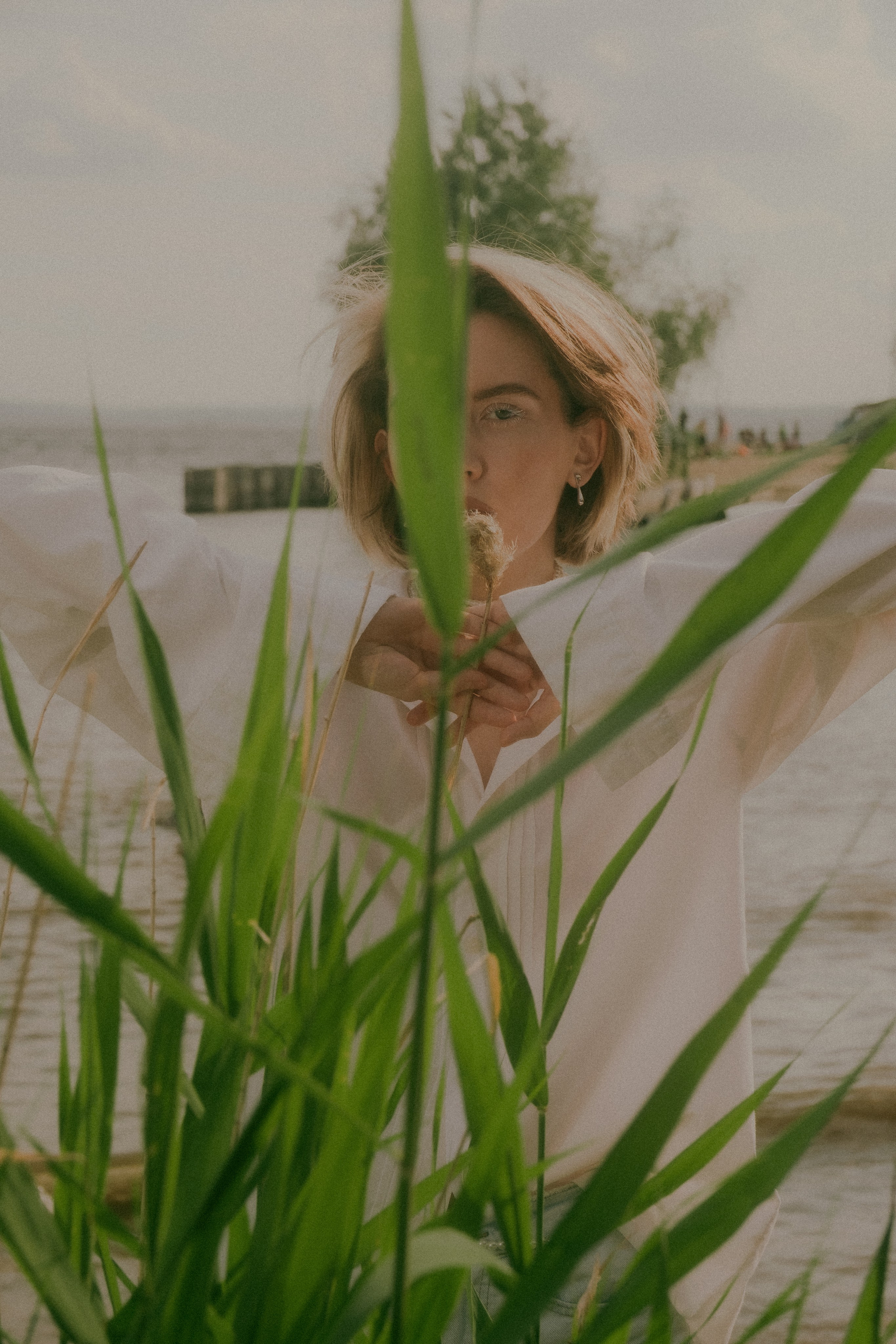 Чайка. Сайт фотографа в Саратове