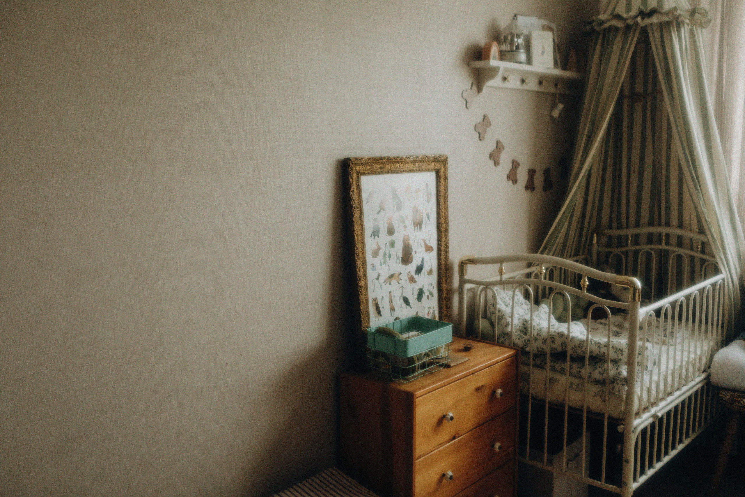 Нежность. Свадебный и семейный фотограф Арестенко Анастасия