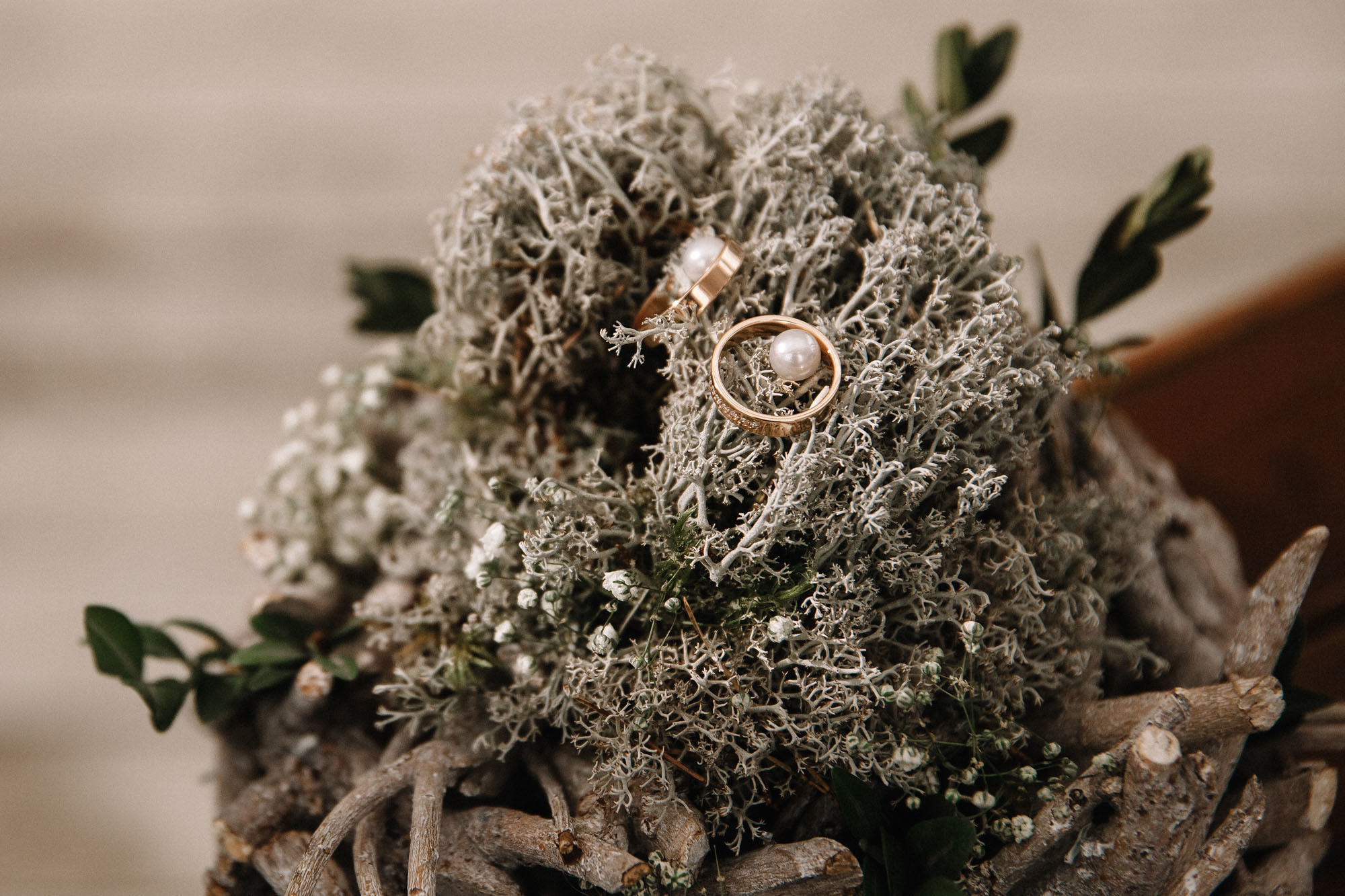 Ваня и Кристина 5.10.18. Семейный и свадебный фотограф в Майкопе Михаил Мартиросян