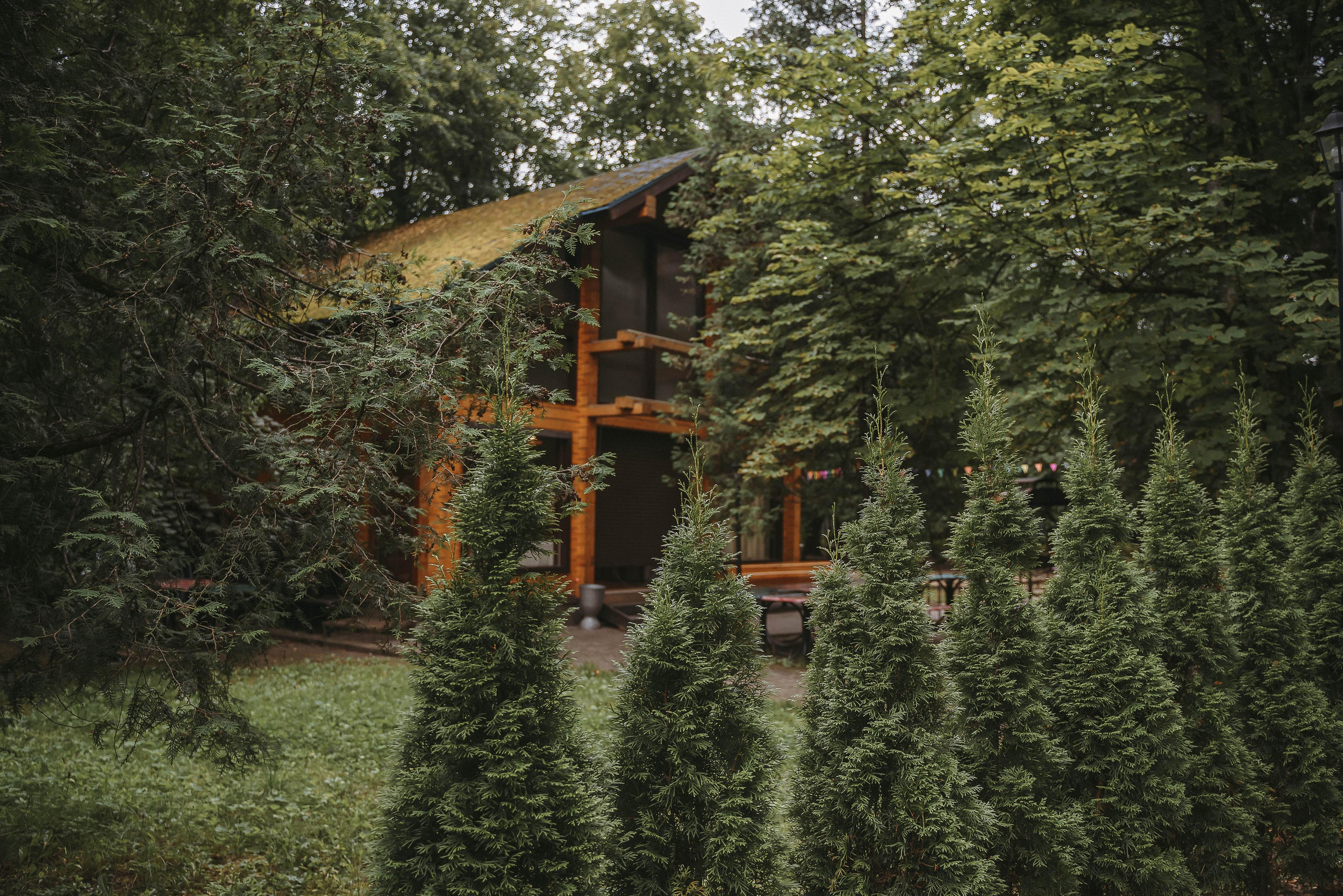 Свадебная фотосессия в ЗАГС города Королев (Московская область)