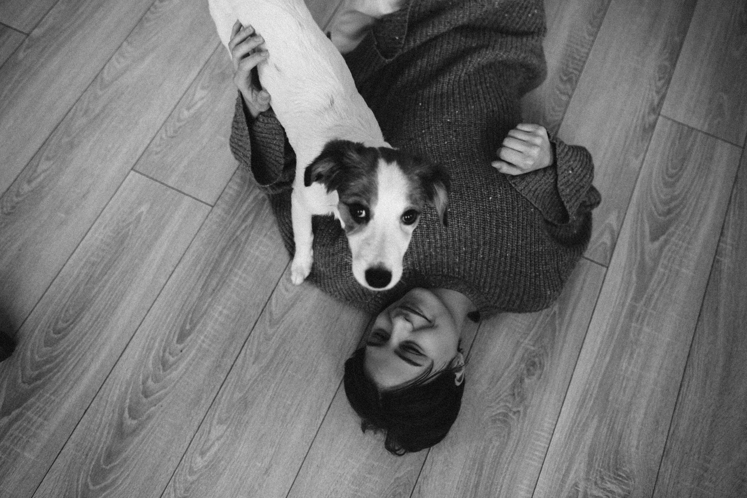 Лика и Клео. Свадебный фотограф Оля Григунова