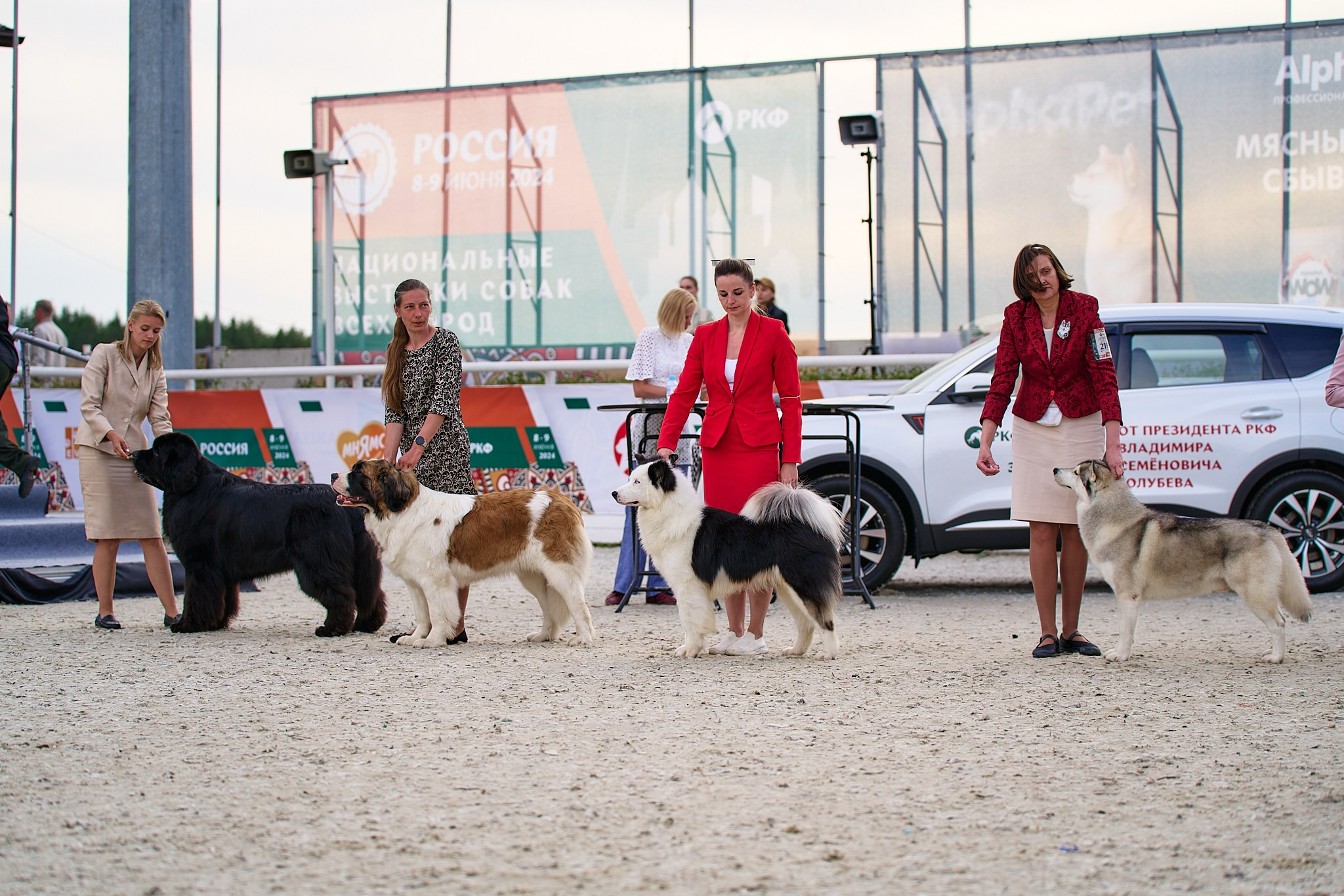 09.06.2024, «РОССИЯ. КУБОК МОСКВЫ 2024 & КУБОК ГОРОДОВ-ГЕРОЕВ»