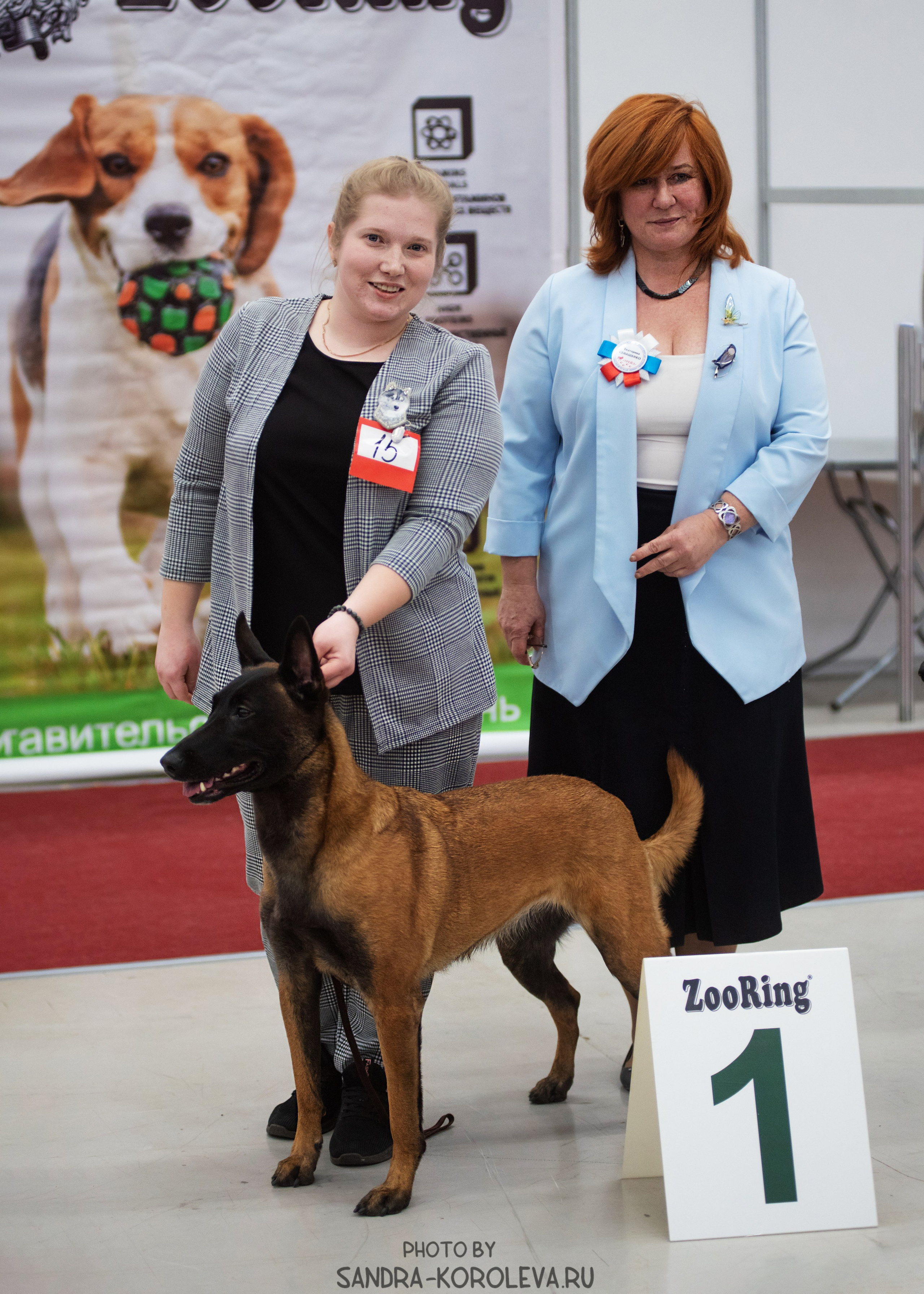 Выставка собак тюмень 10.12.2022. Дог-фотограф в Тюмени Александра Королева