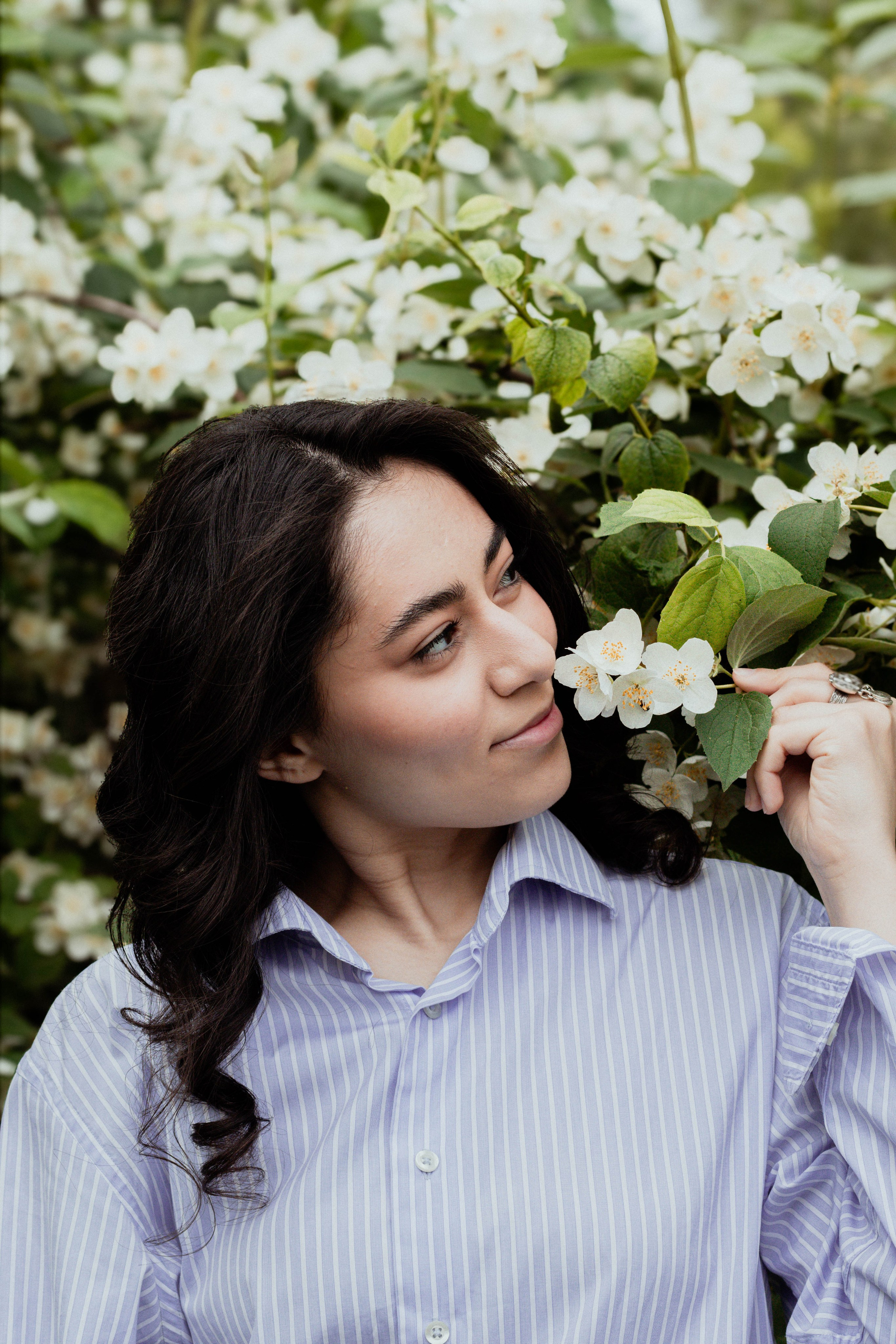 Солнце внутри