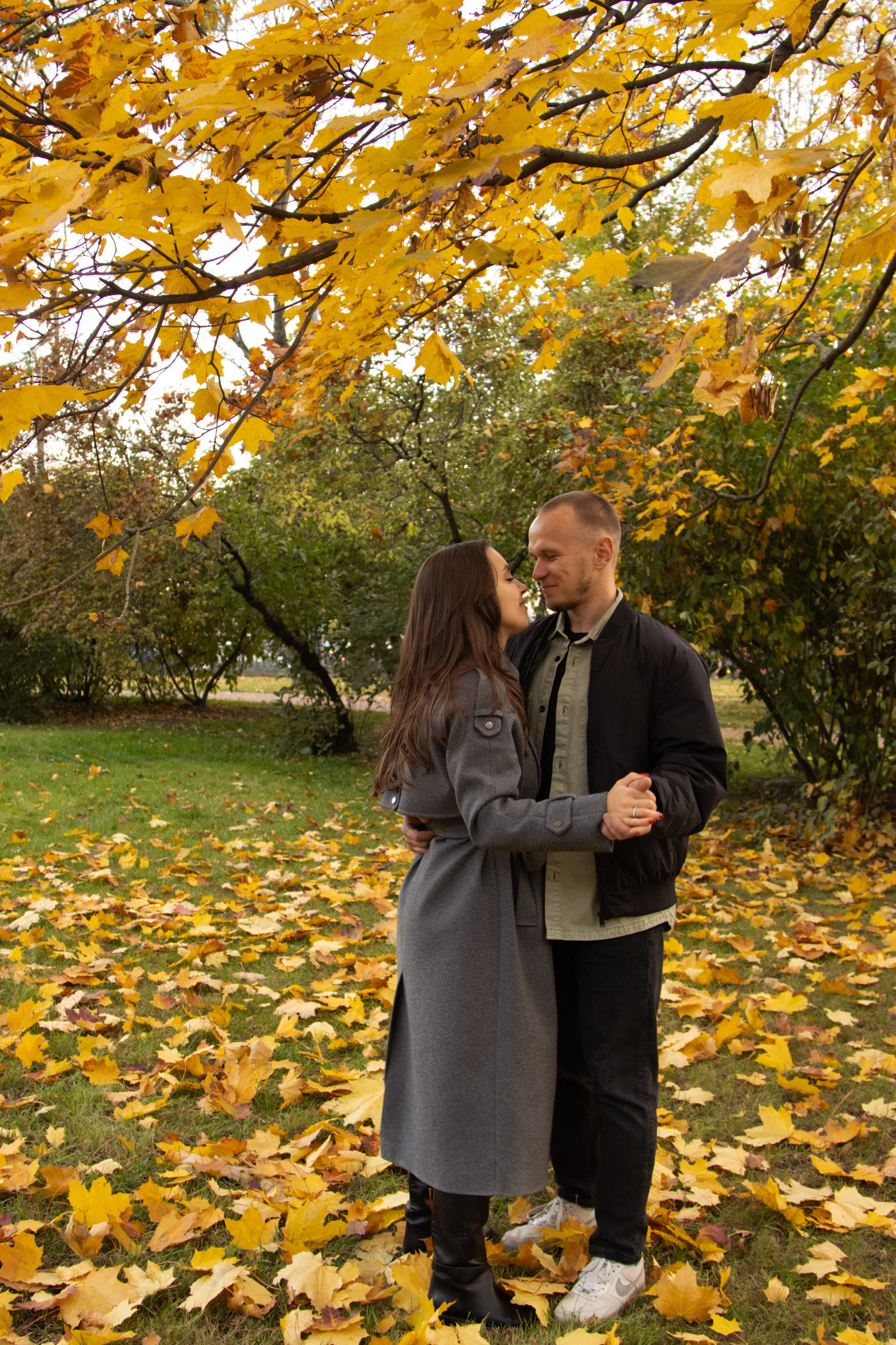 Предложение руки и сердца