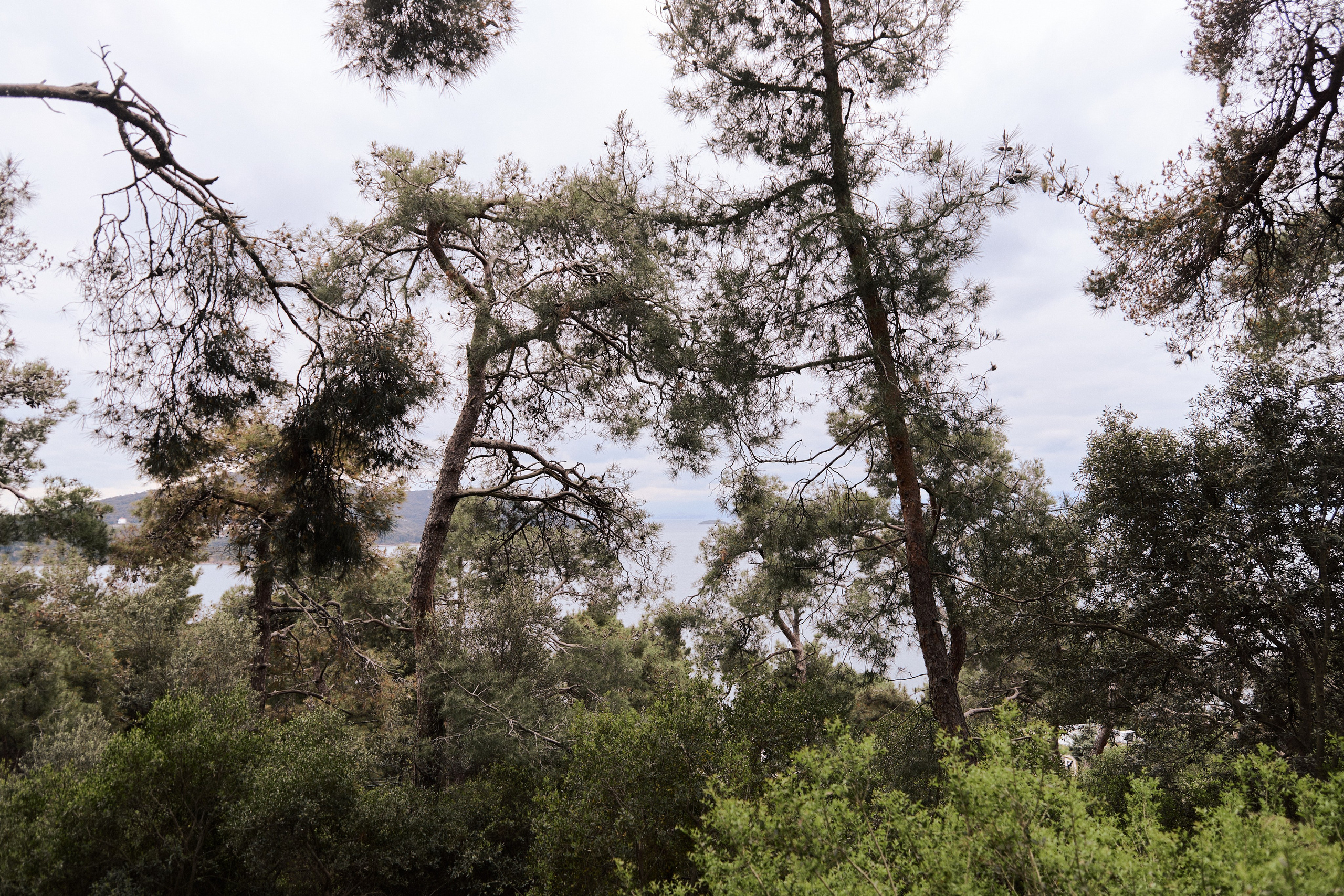 Улица горизонтальная. Jorgis — фотограф в Хургаде / обучение фотографии