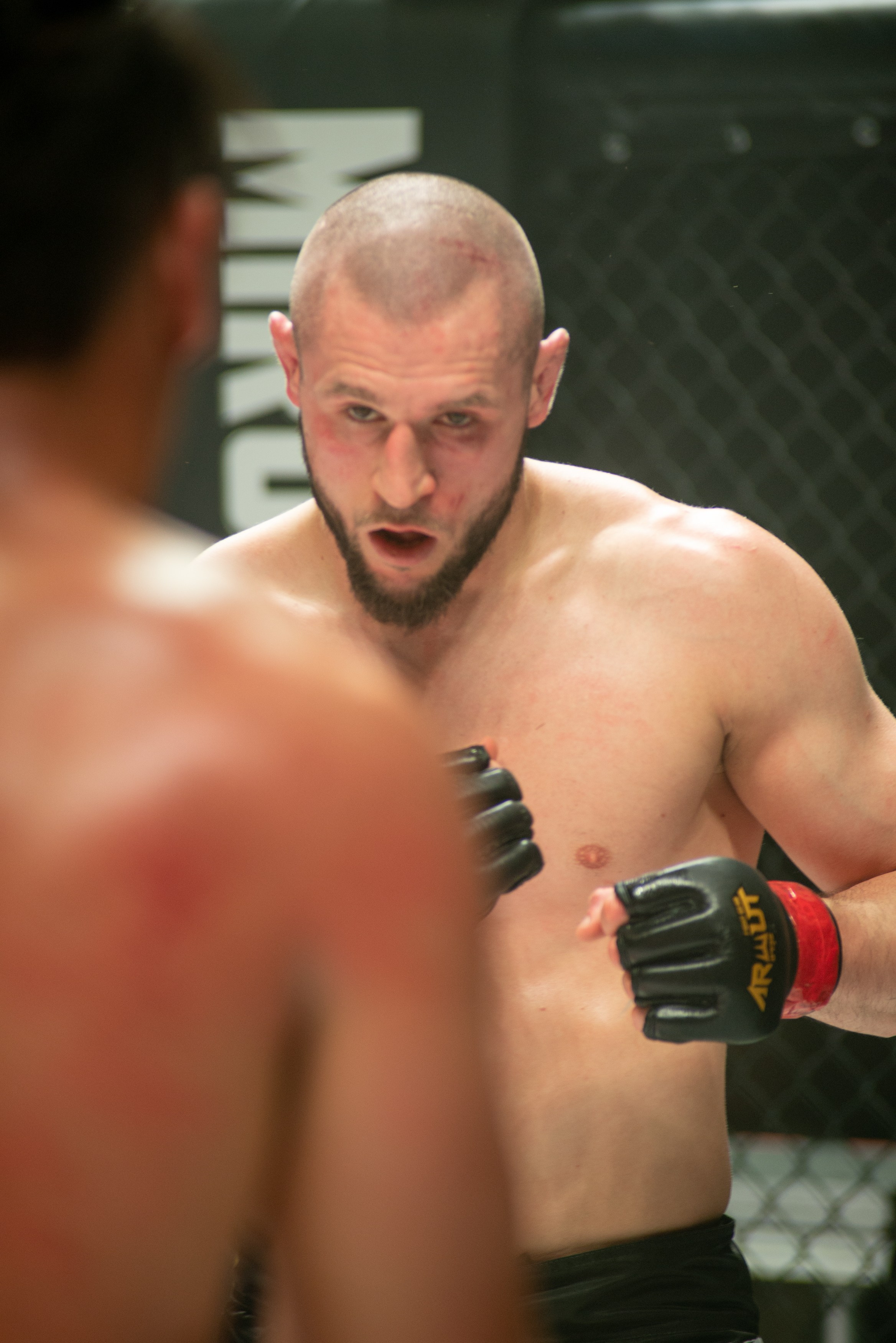 Miroslava Fight