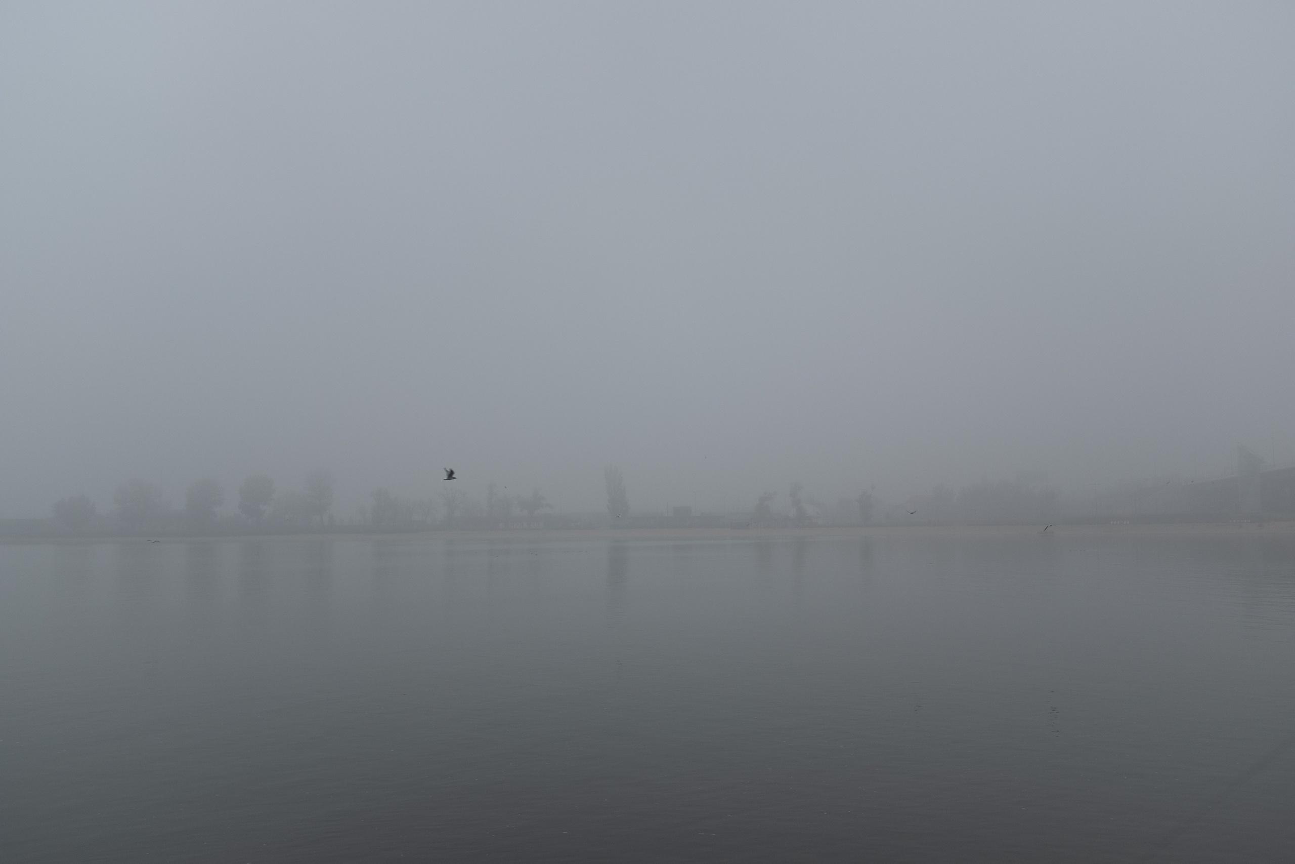 2021 — Ростов-на_Дону. Событийный и тревел фотограф в Москве и по всему миру Мария Салахутдинова