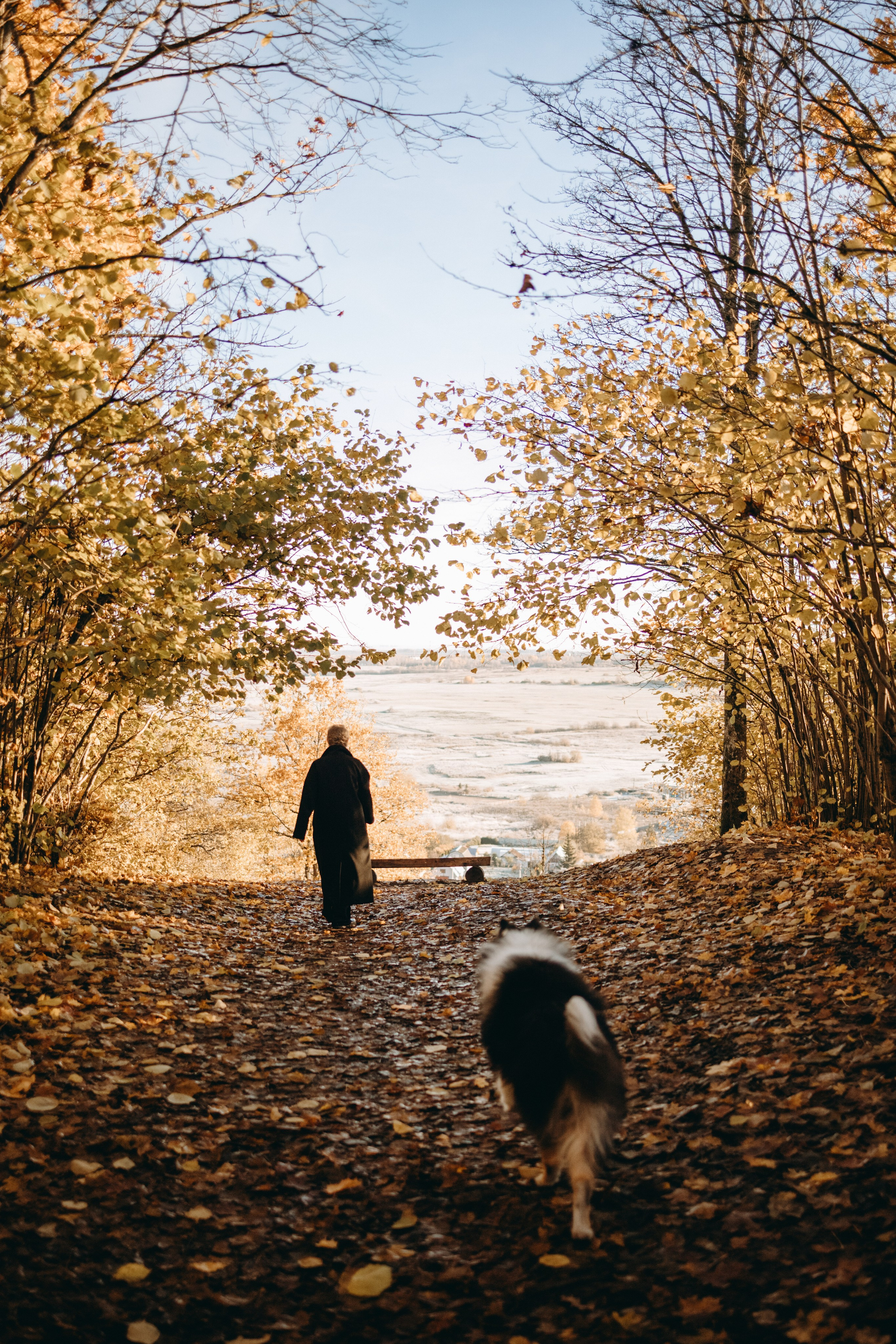 Ия и Барт. Фотограф — Анималист | Санкт-Петербург