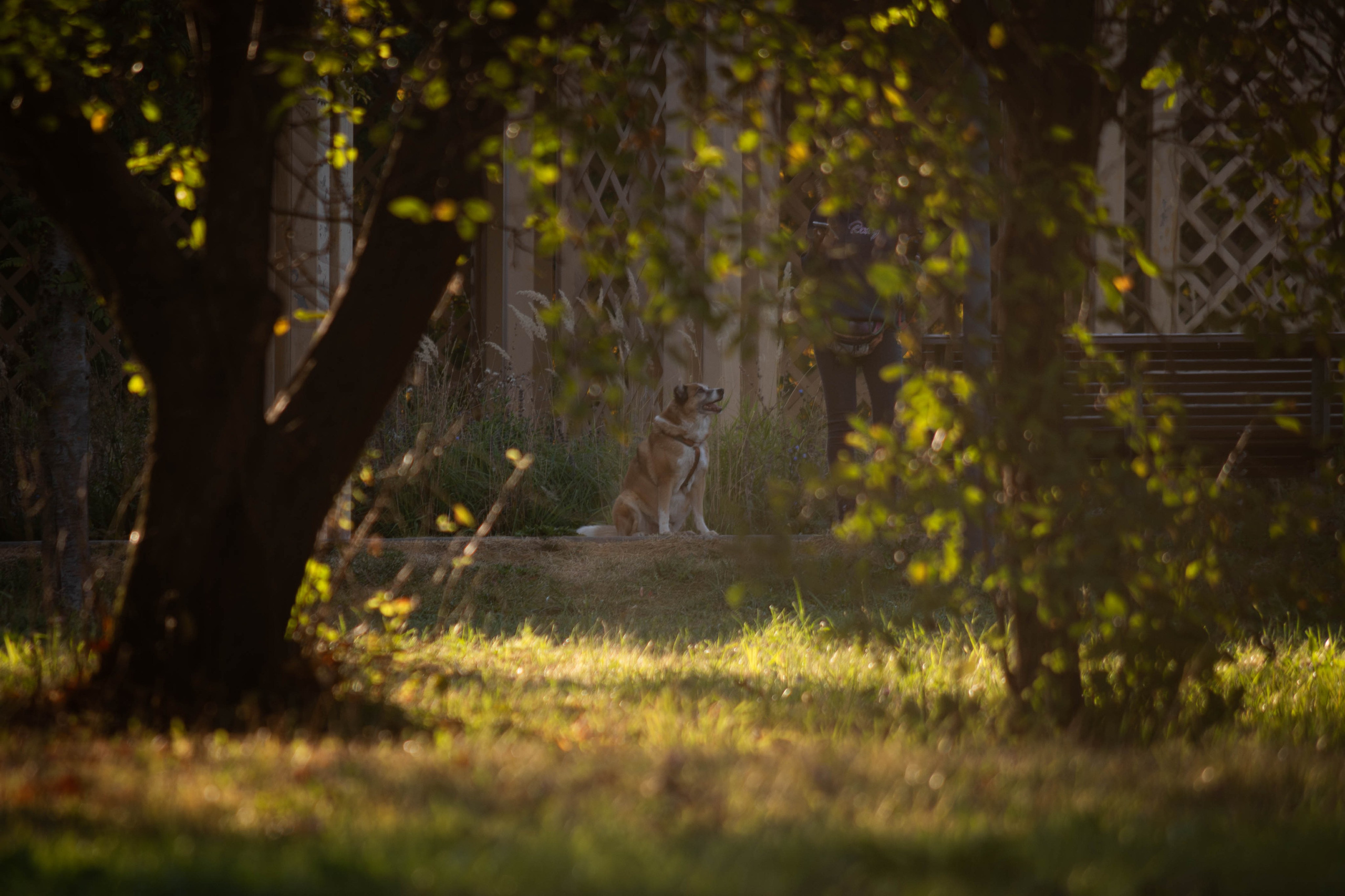 Ник и Полина. Фотограф Светлана Блинова, Москва и Московская область