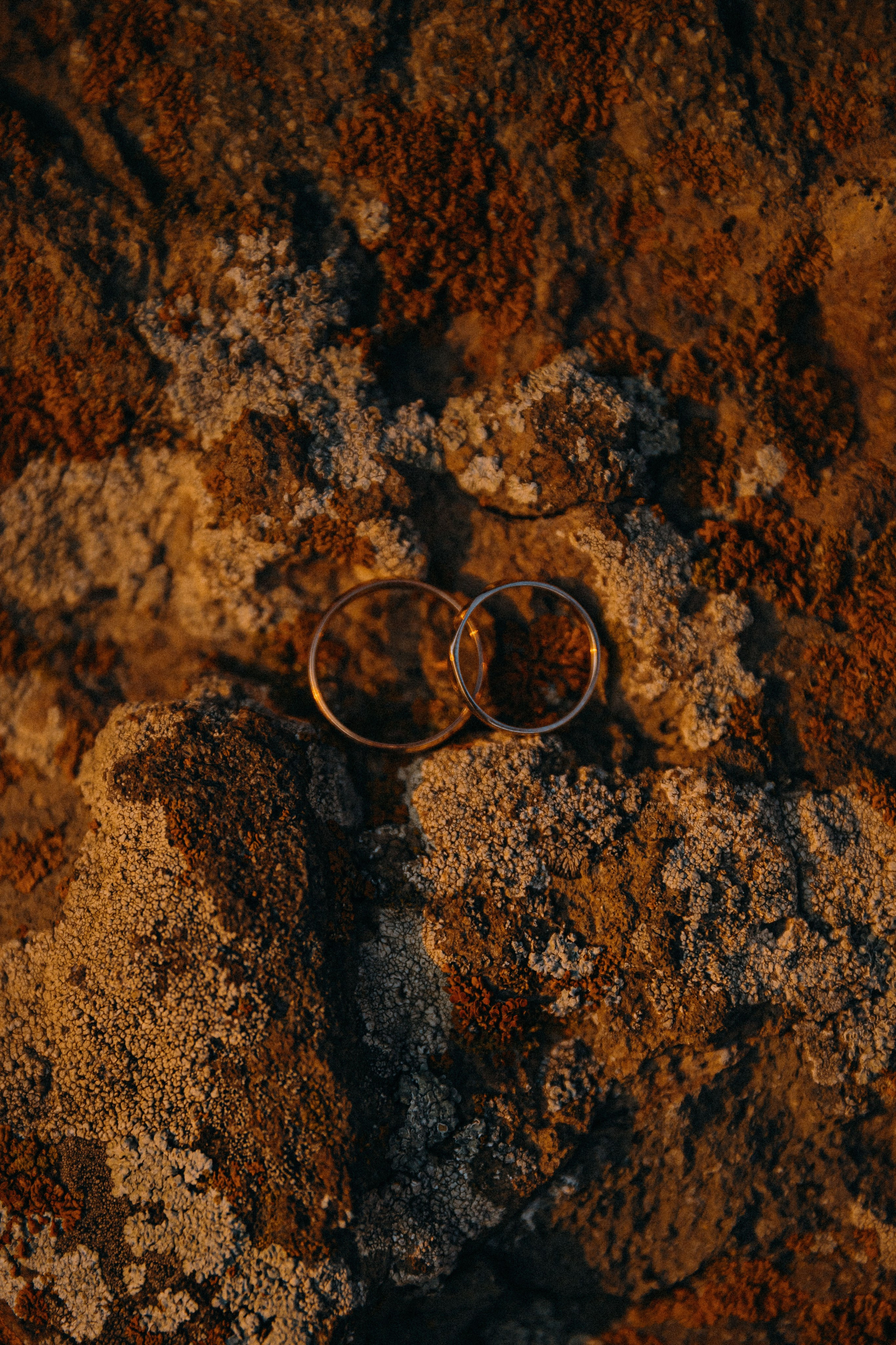 Свадьба в Горах Грузии в Коджори. Свадебный фотограф Грузия Тбилиси