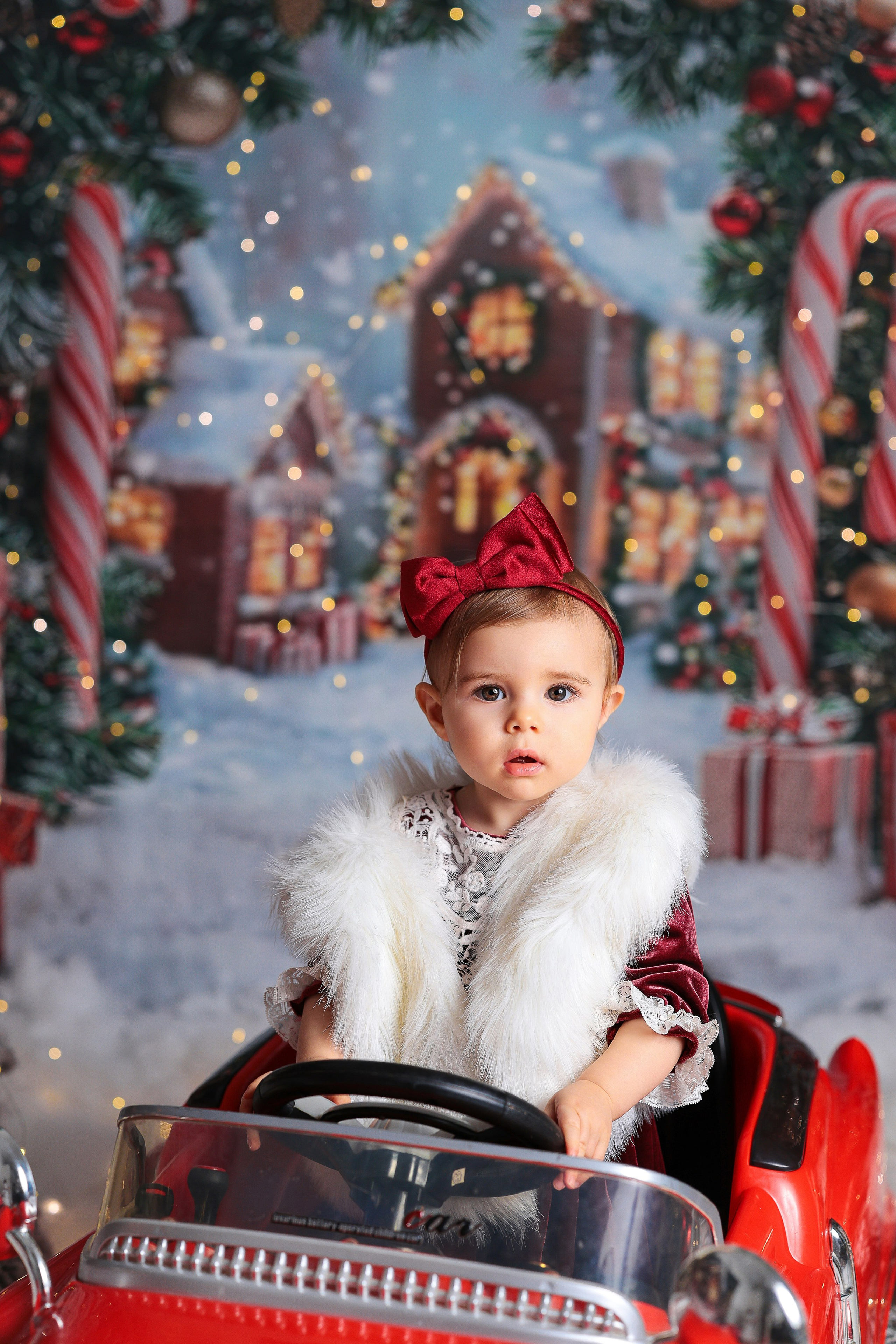 Антураж НОВЫЙ ГОД 2025