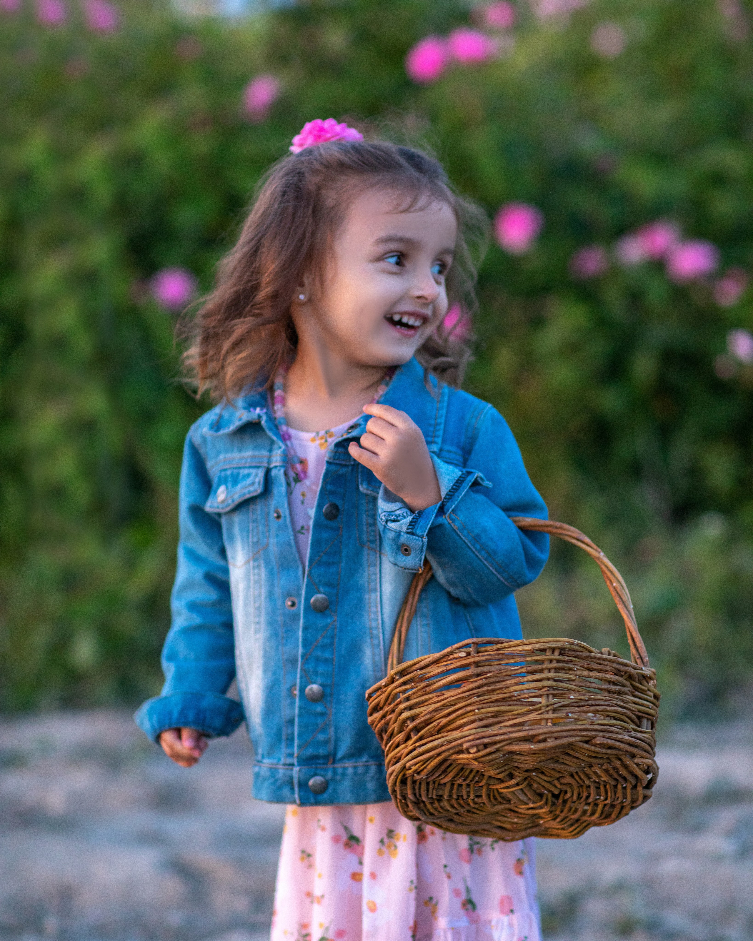 Чайная роза. Фотограф Севастополь/Крым Светлана Евтушенко