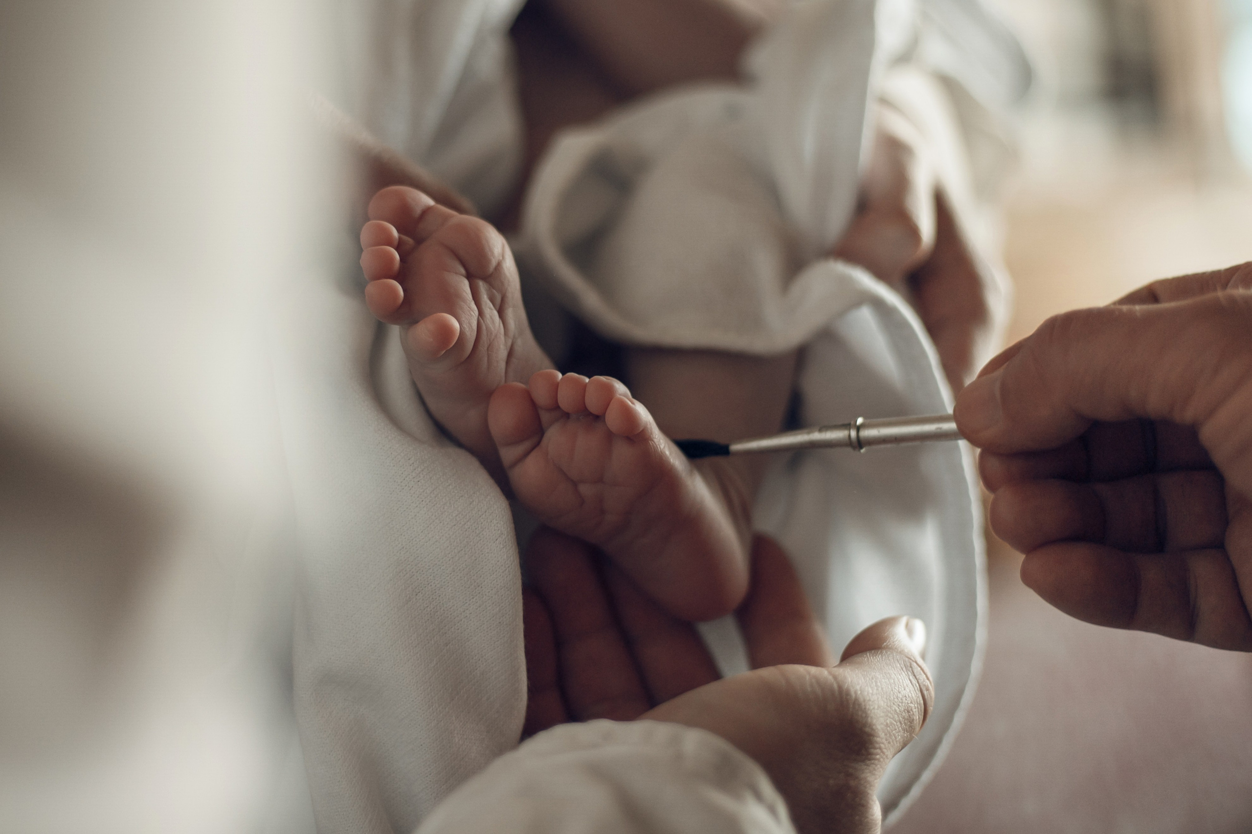 Смоленский собор. Фотограф в Белгороде Анастасия Веленгурская
