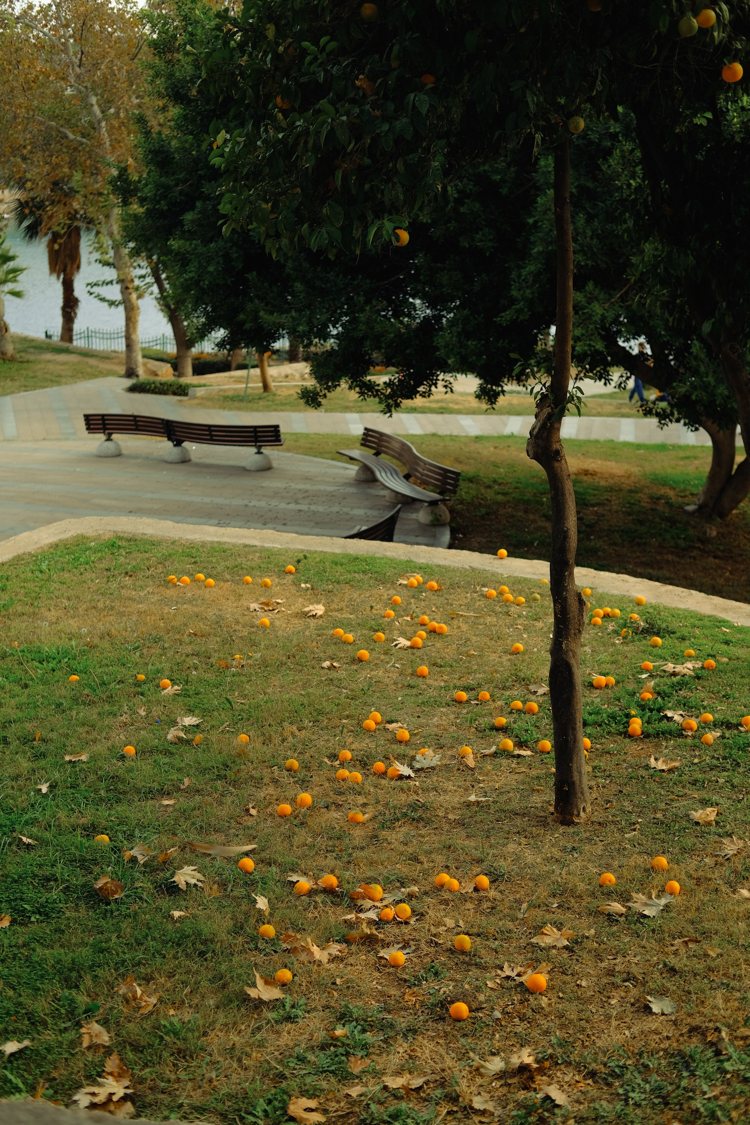 Lycian Way: Turkey. Обо мне