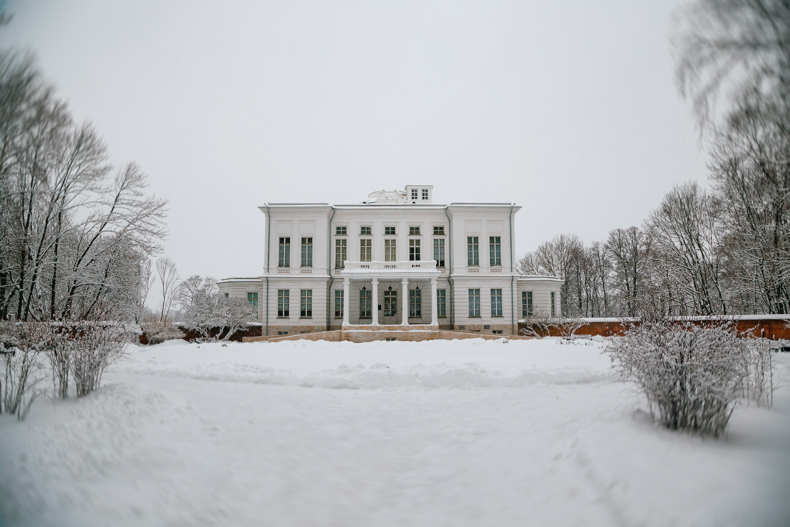 Николай и Яна. Фотограф в Туле и области Константин Гудовичев