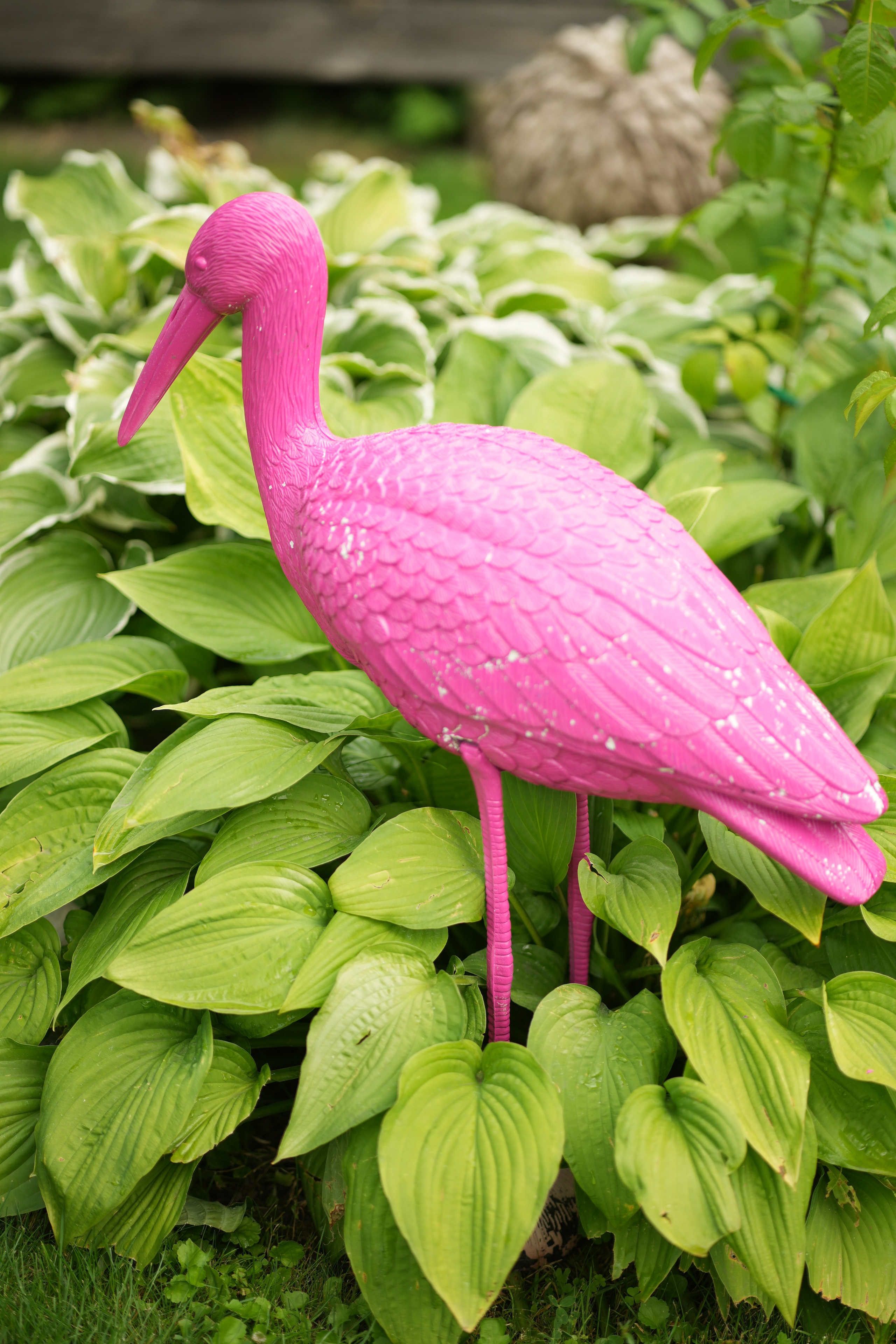 Час 1500 пример фотосессии пакет «ФОТО НА ПАМЯТЬ» (без обработки). Фотограф Нижний Новгород Татьяна Кэйод