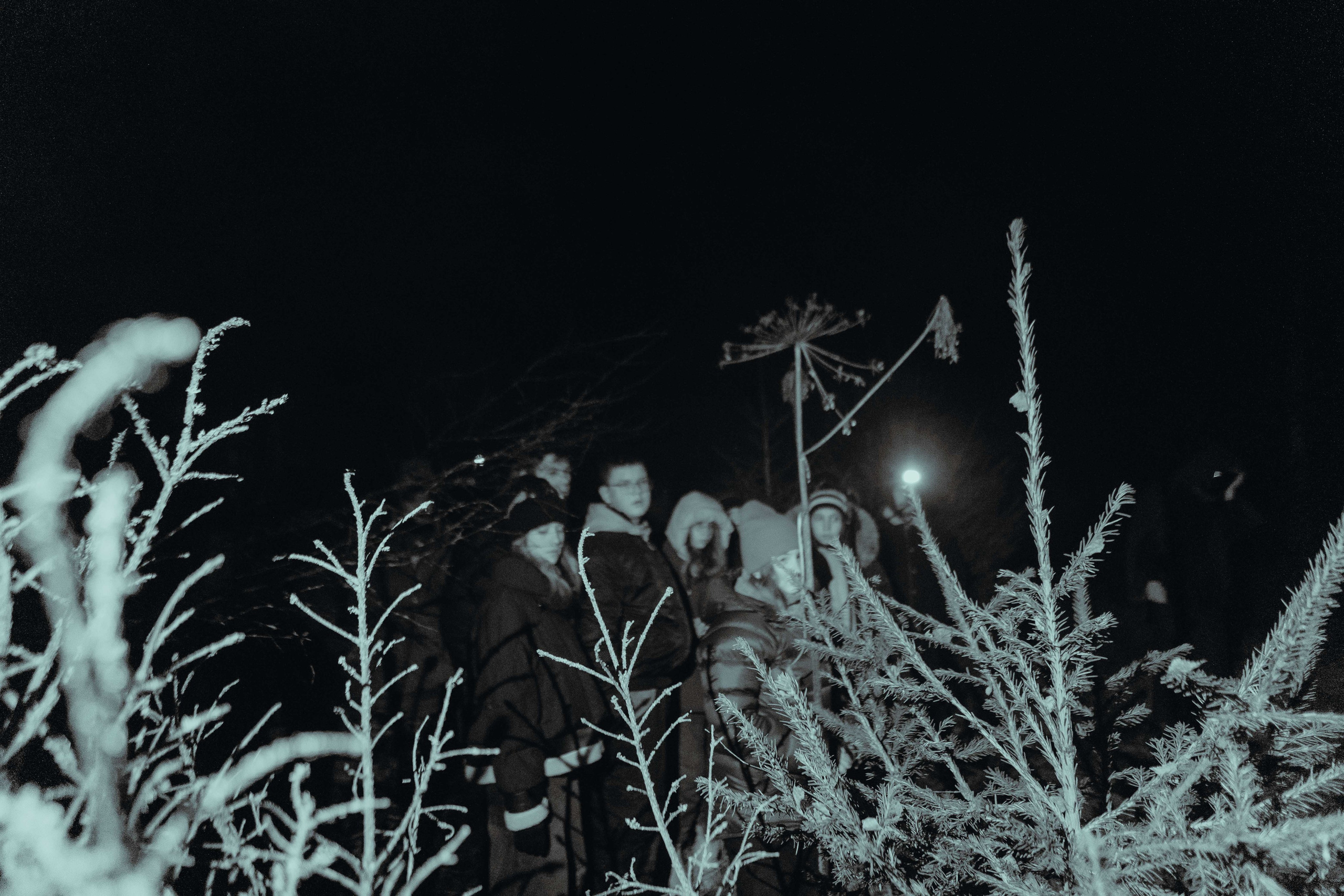 Terra Nova: Пробуждение |Грани Миров. Фотограф Аннё| Москва