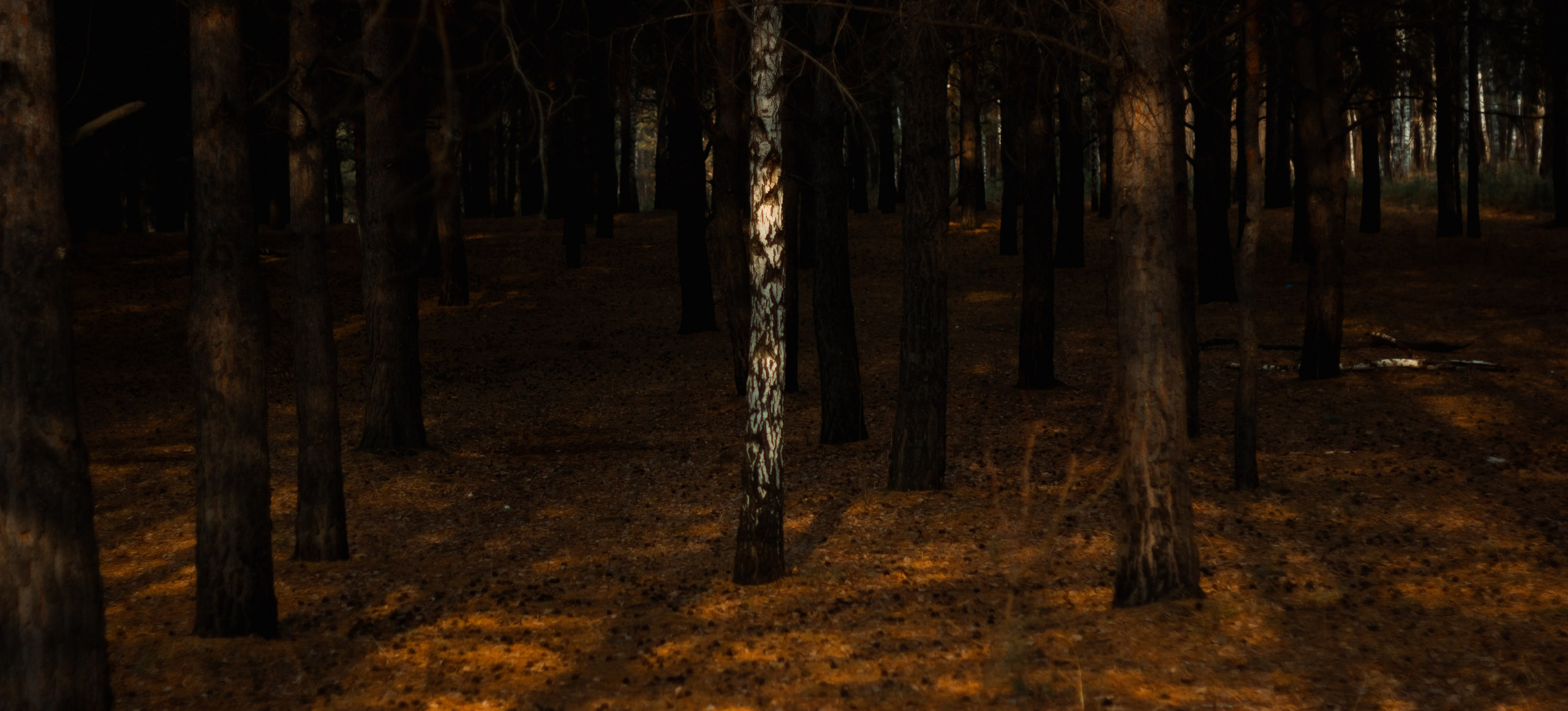 21.03.2025 | Сосновоборск. Kuznetsov | Фотограф в Красноярске