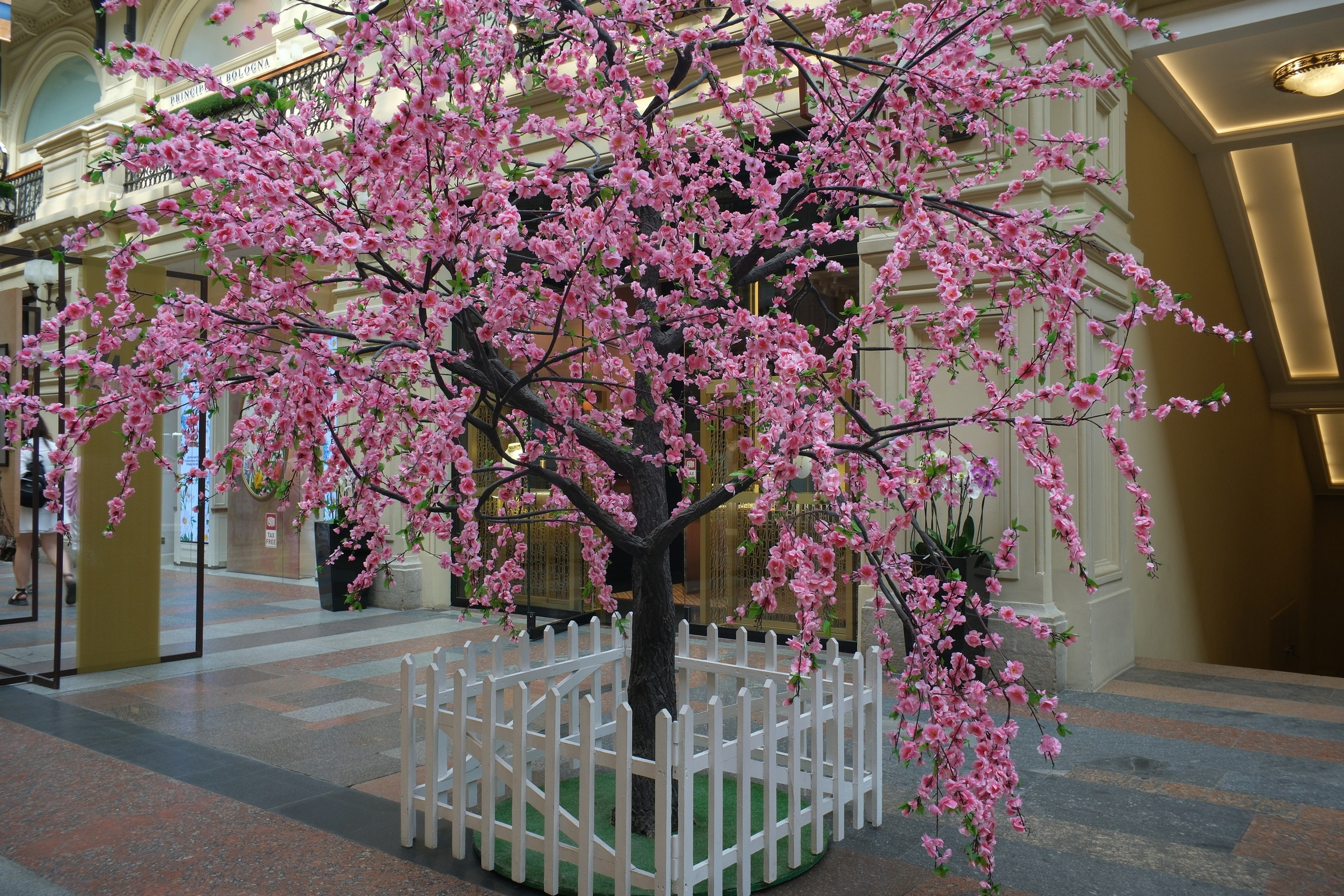 По Москве 25.05.2025. Улица, люди, жизнь…