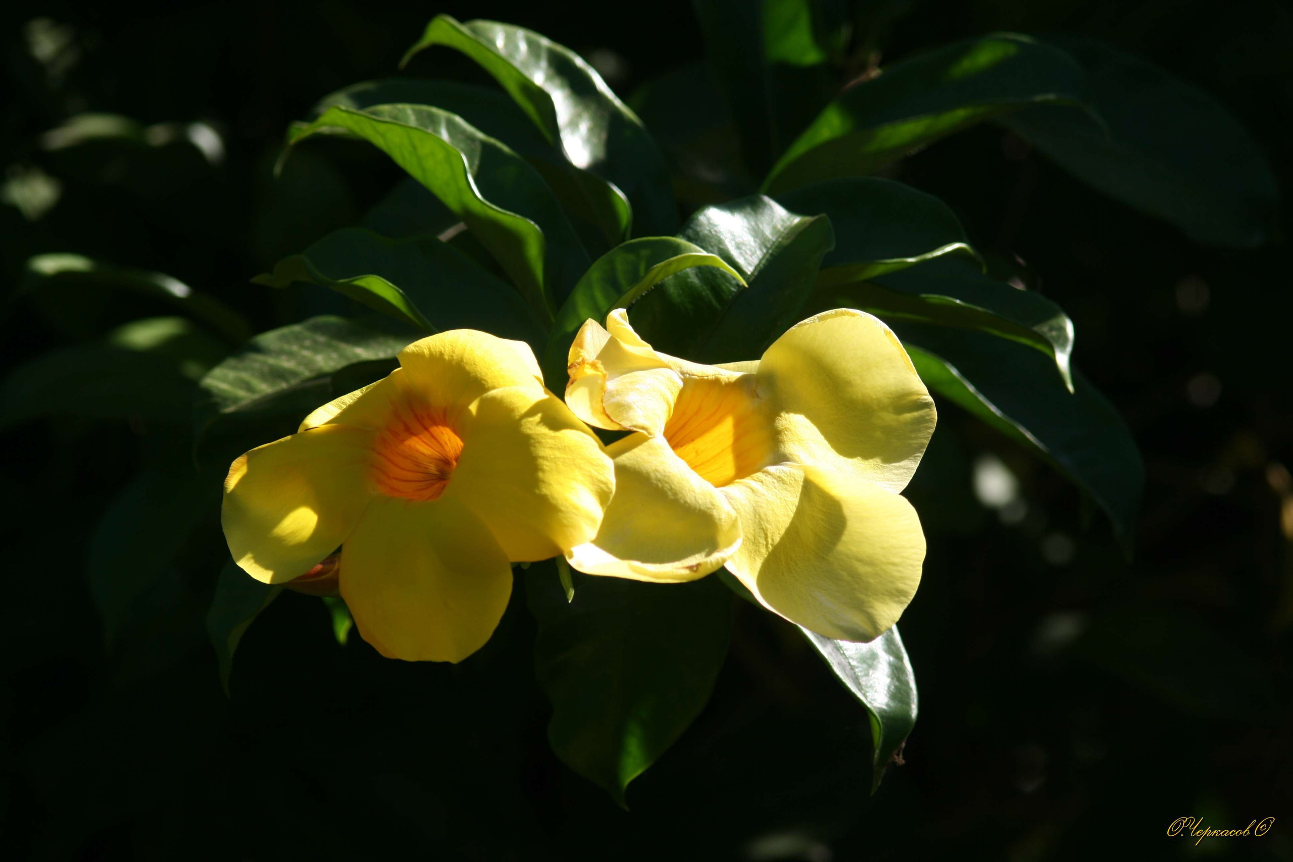 Вьетнам 2008 г. Улица, люди, жизнь…